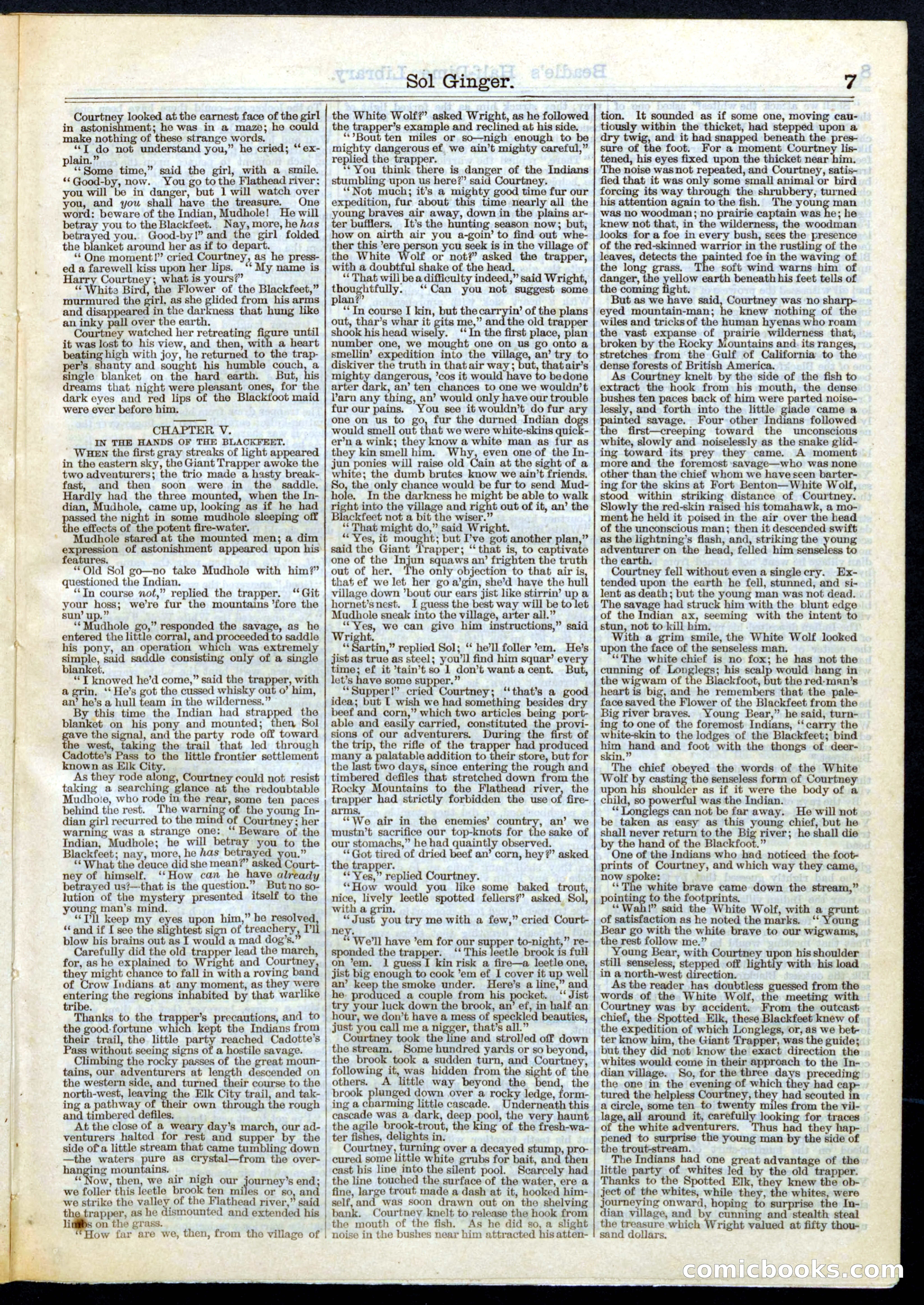 Beadle's Half Dime Library, No. 79 — page 7 of 16