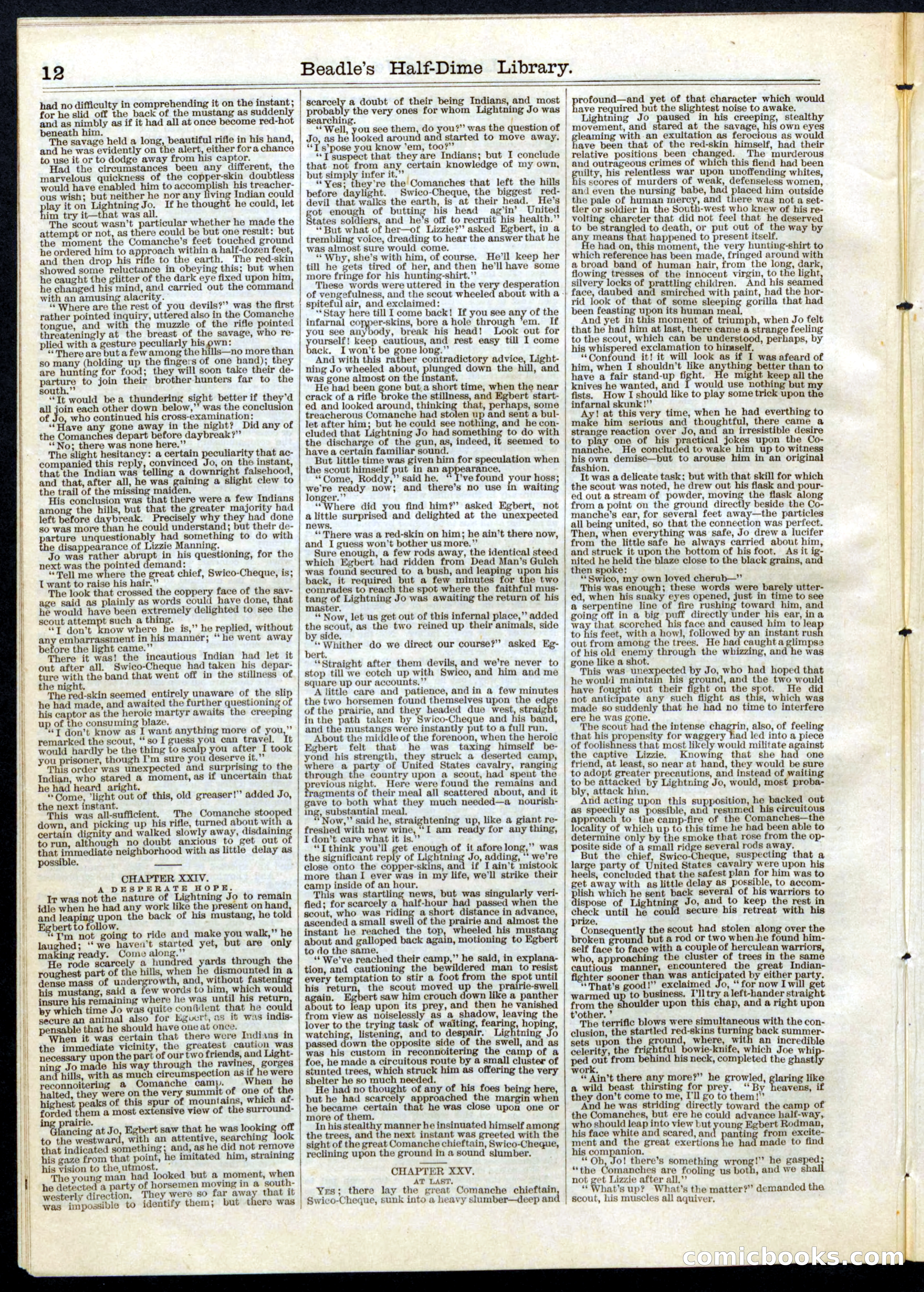 Beadle's Half Dime Library, No. 81 — page 12 of 16