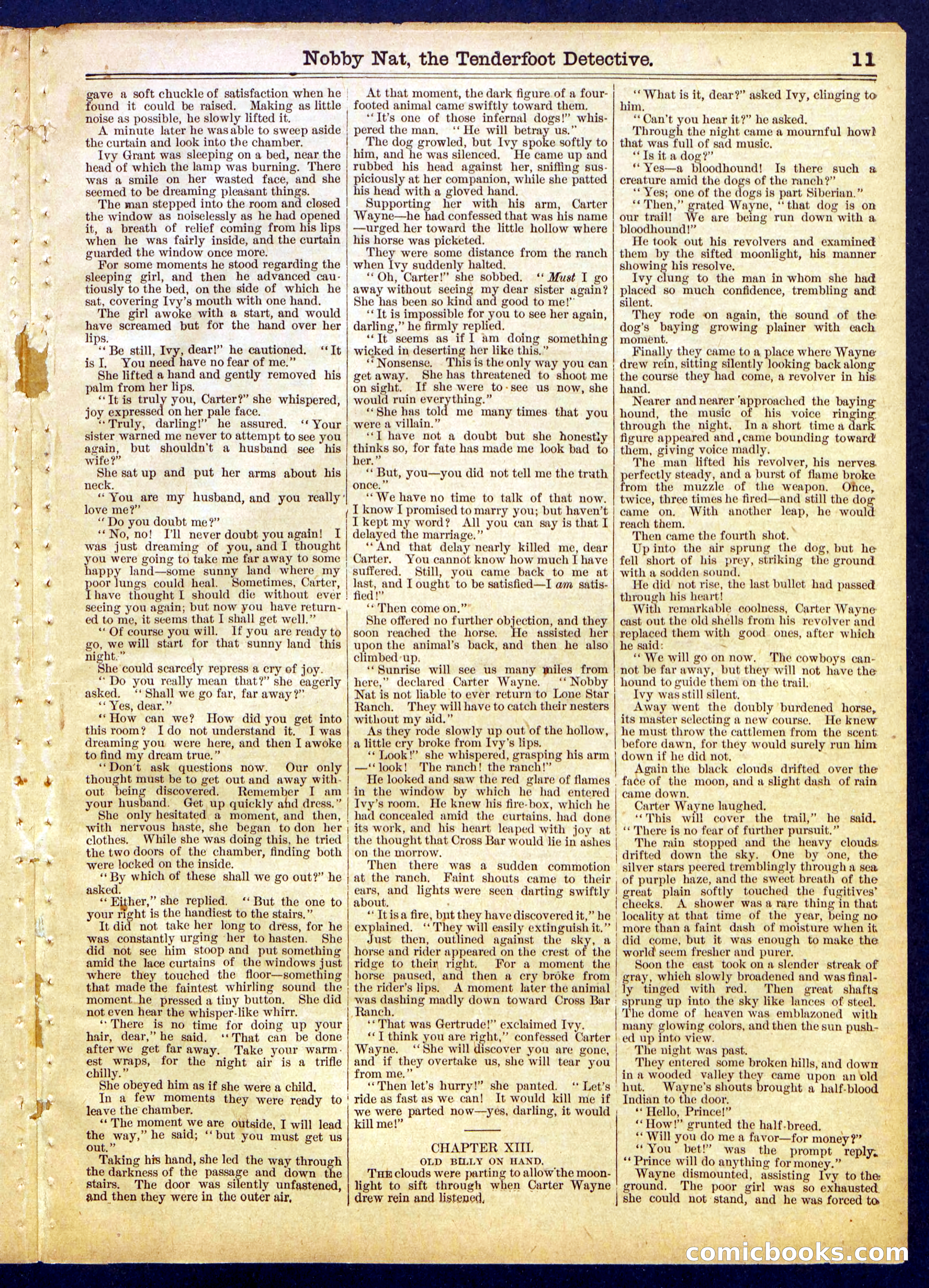 Beadle's Half Dime Library, No. 820 — page 11 of 16