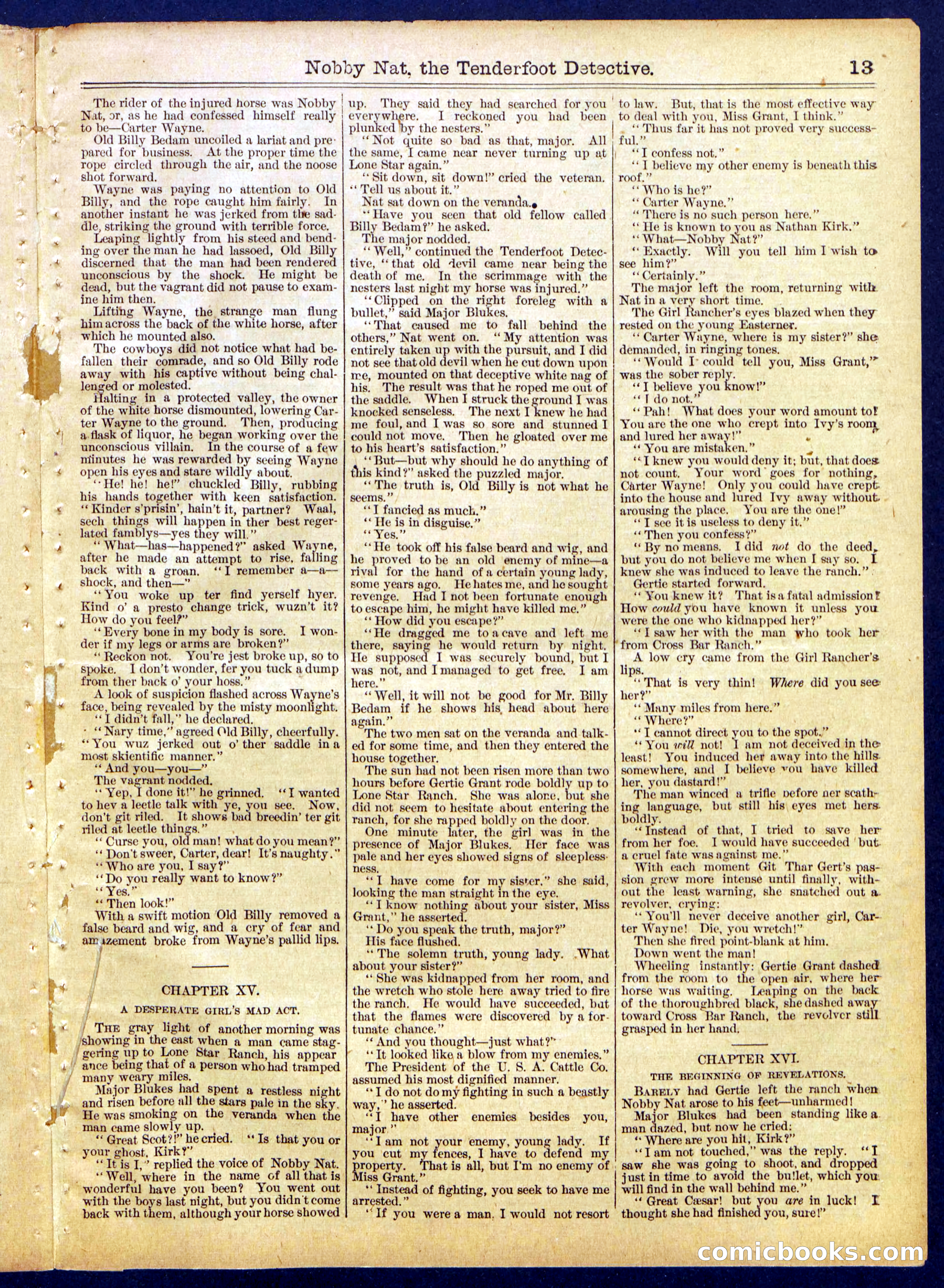 Beadle's Half Dime Library, No. 820 — page 13 of 16