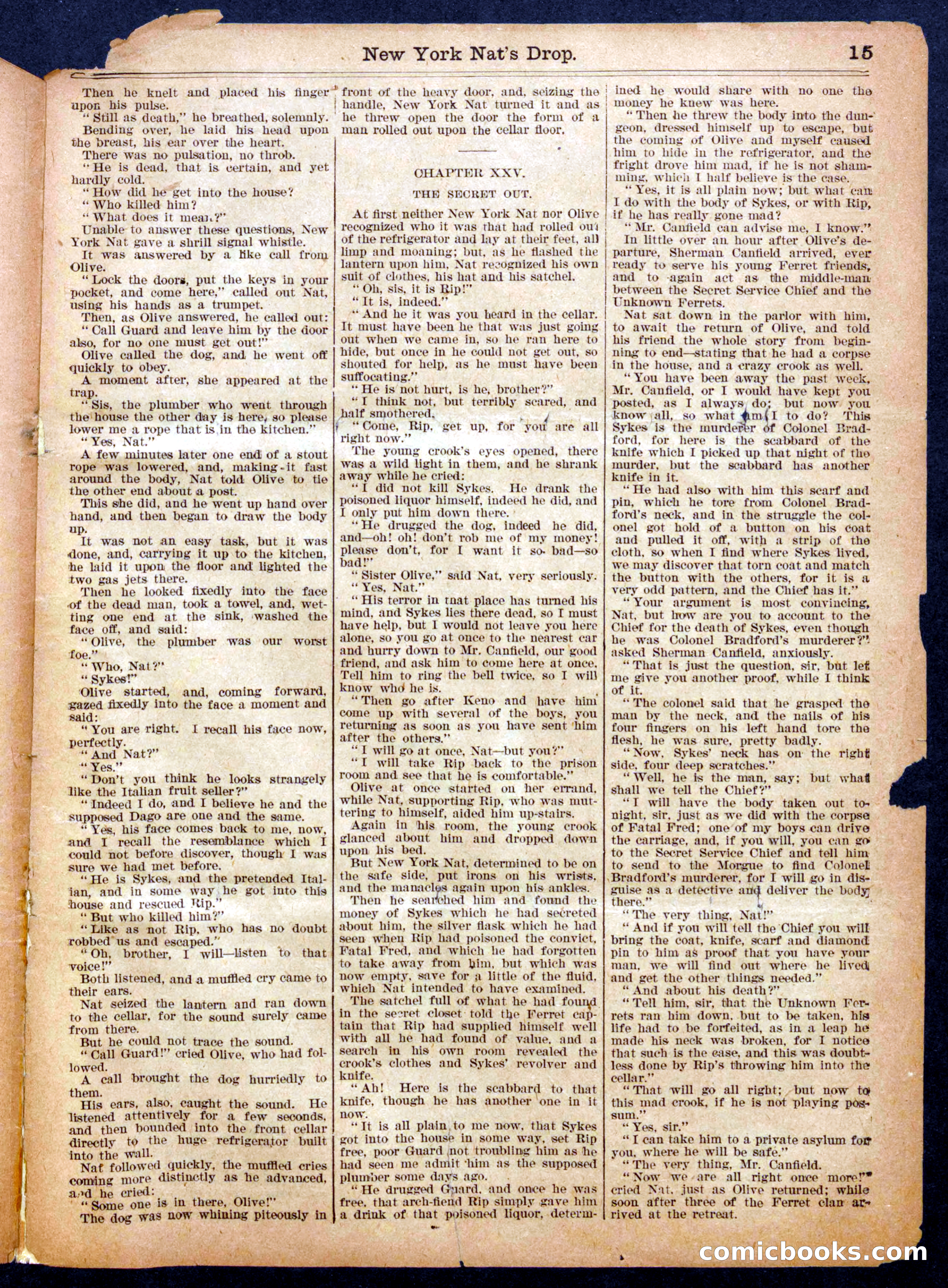 Beadle's Half Dime Library No. 932 — page 15 of 16