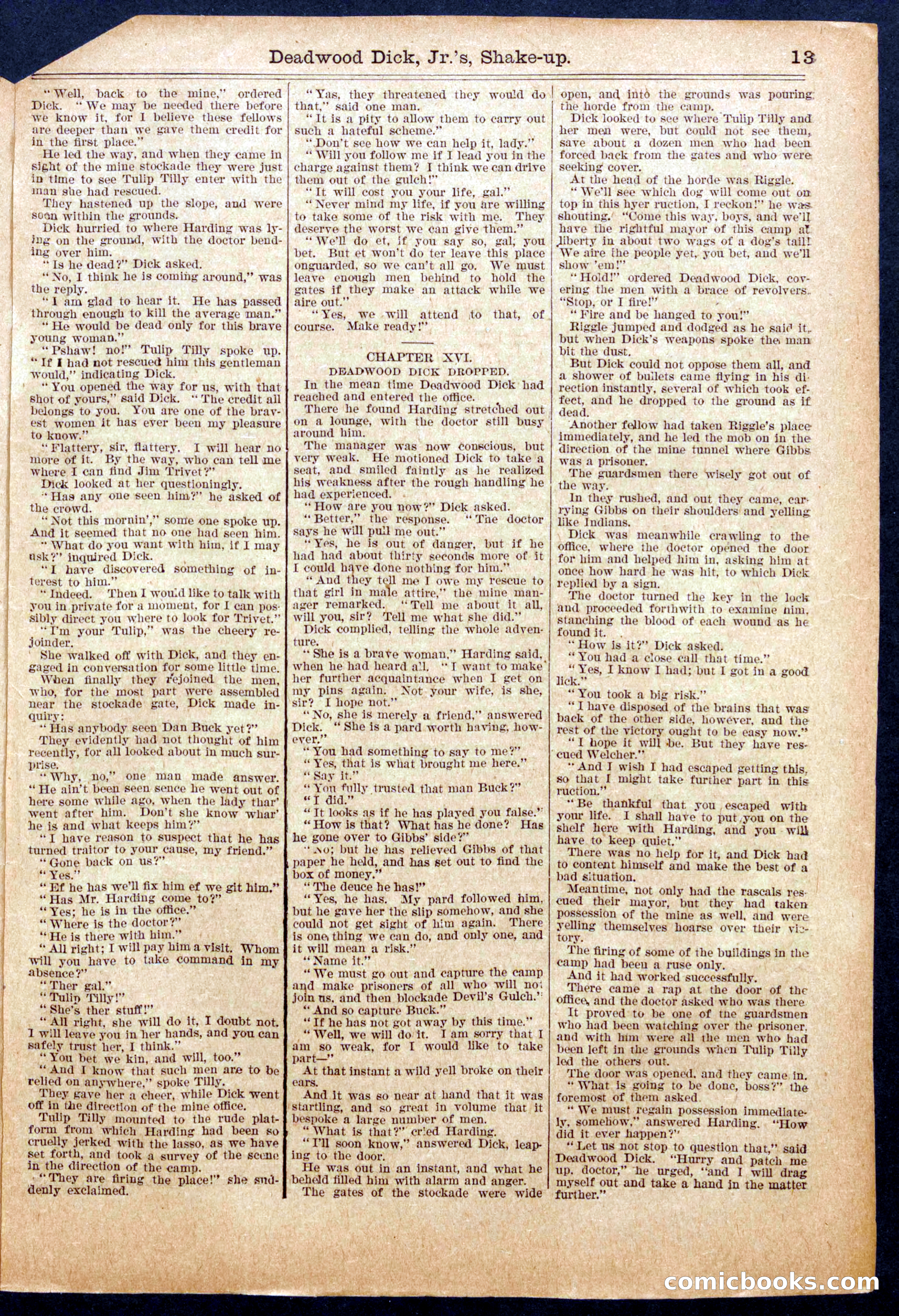 Beadle's Half Dime Library, No. 940 — page 13 of 16