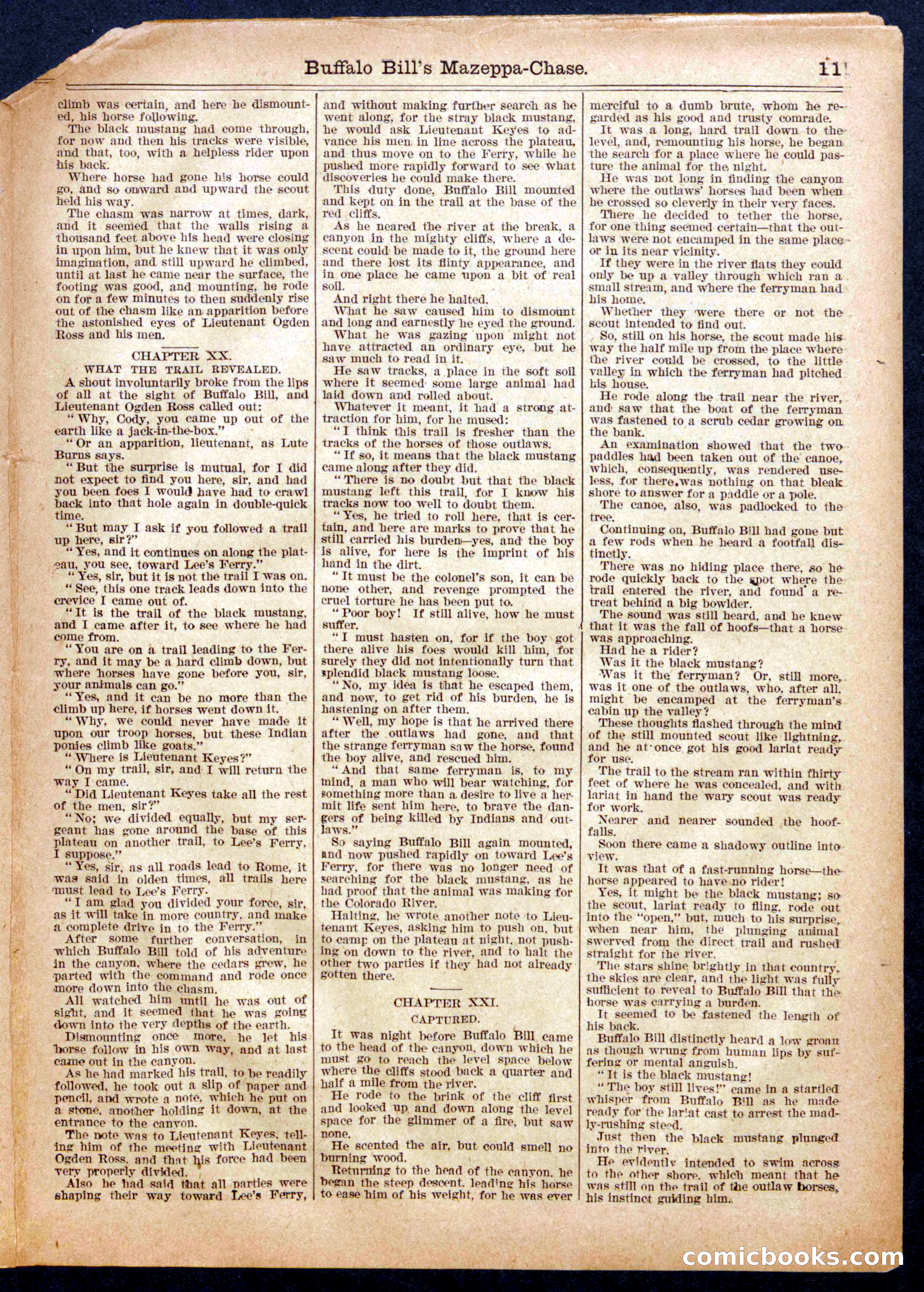 Beadle's Half Dime Library No. 958 — page 11 of 16