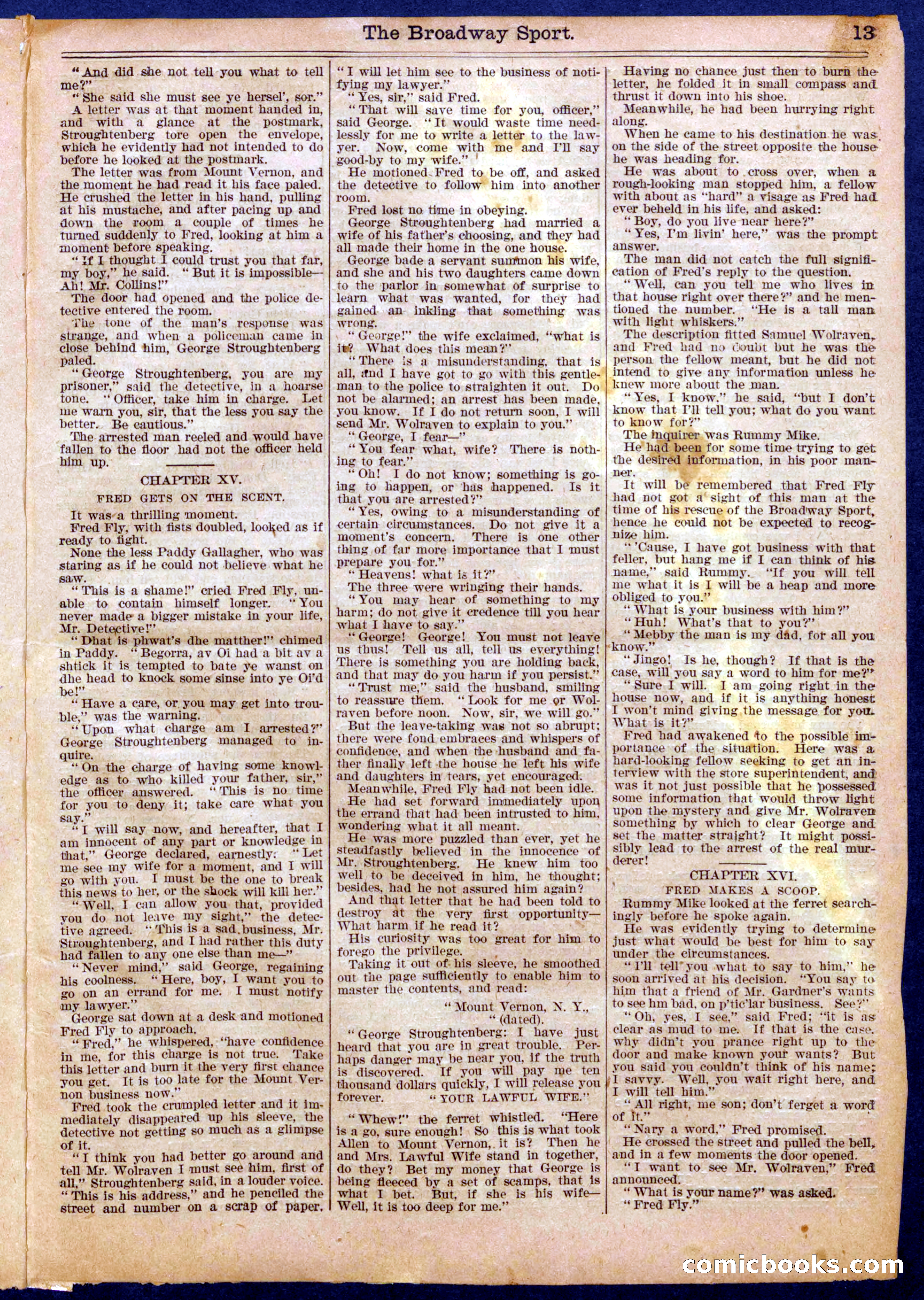 Beadle's Half Dime Library No. 960 — page 13 of 16