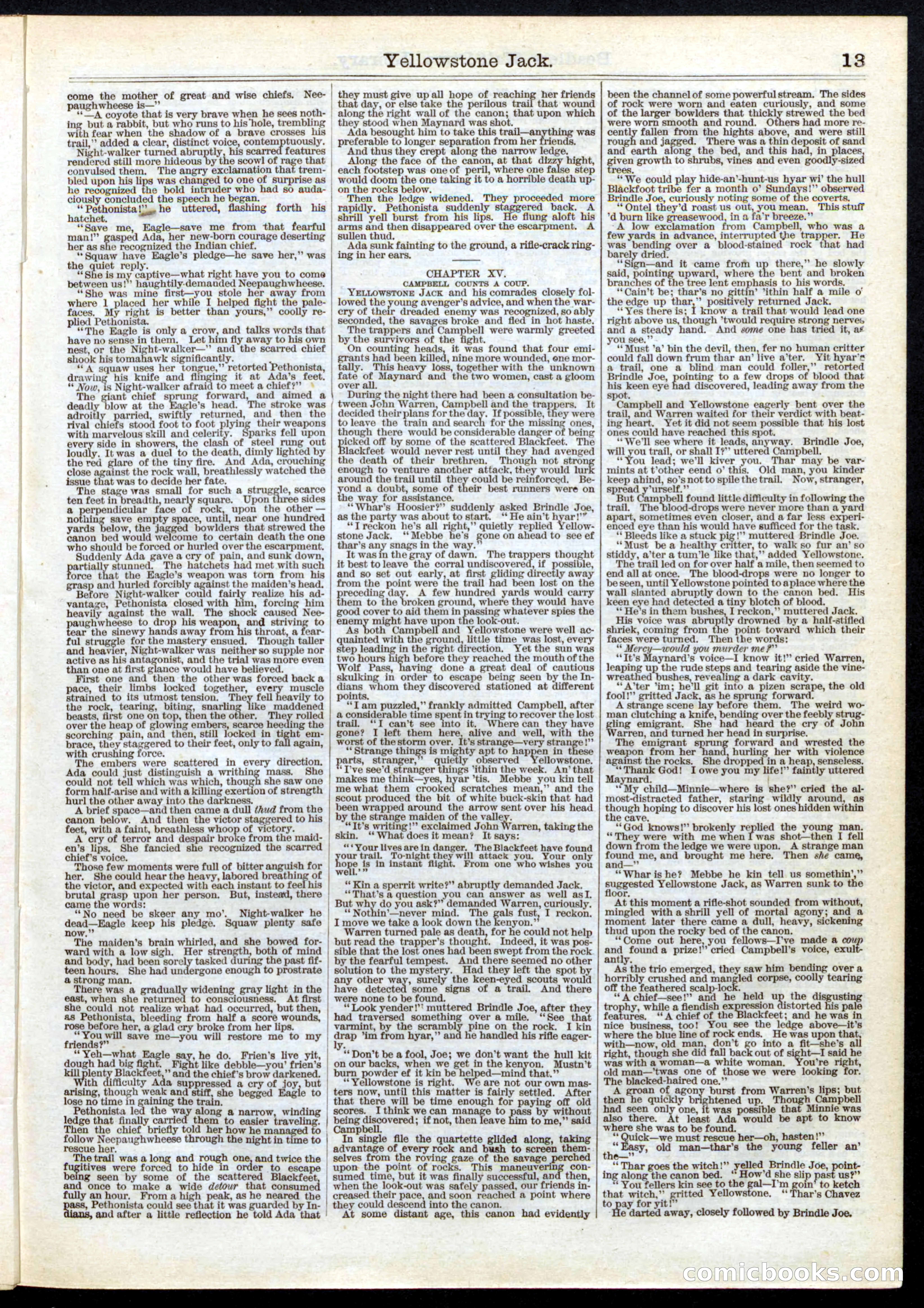Beadle's Half Dime Library, Vol. 1, No. 2 — page 13 of 16