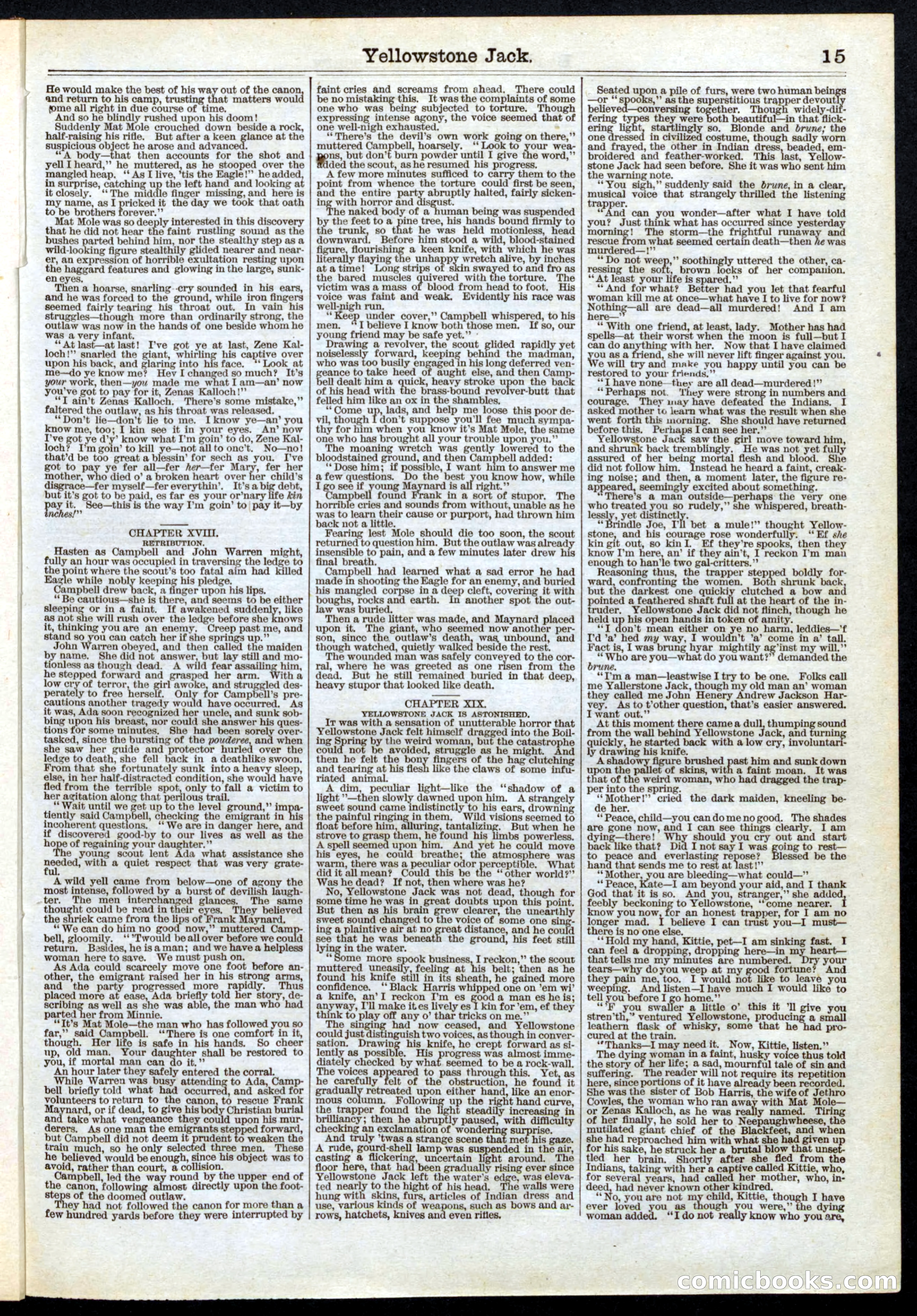 Beadle's Half Dime Library, Vol. 1, No. 2 — page 15 of 16