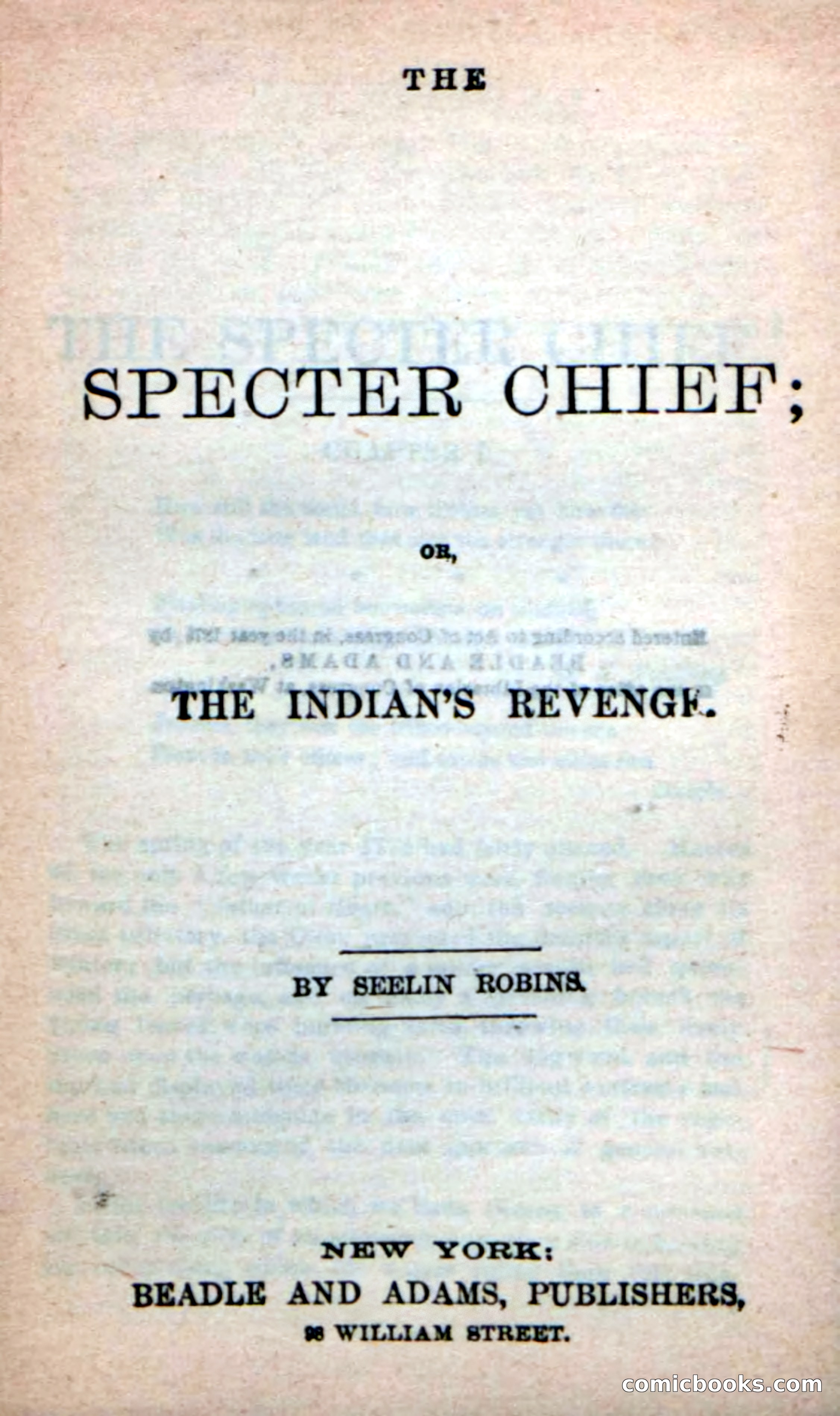 Beadle's New Dime Novels: The Specter Chief — page 3 of 100