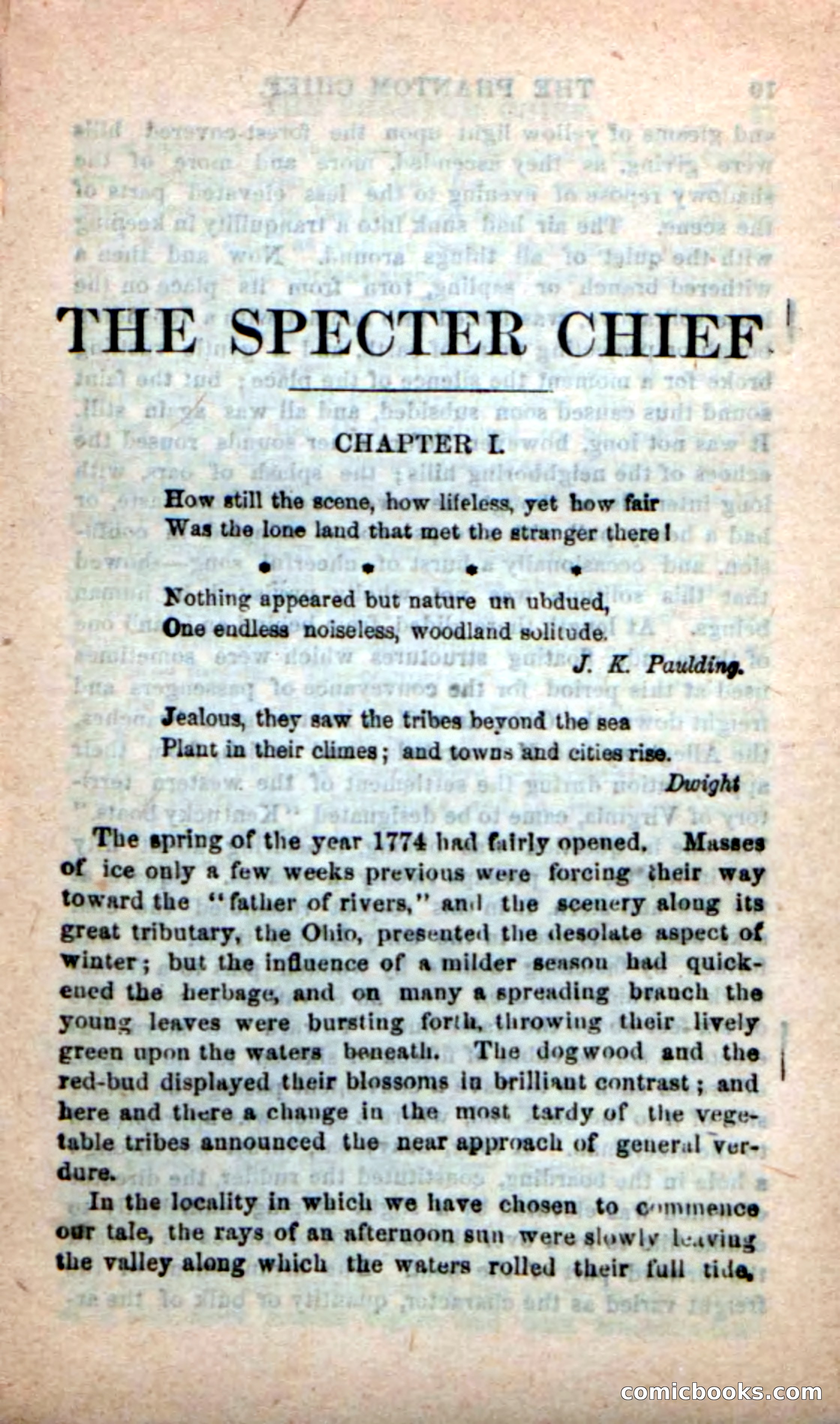 Beadle's New Dime Novels: The Specter Chief — page 5 of 100