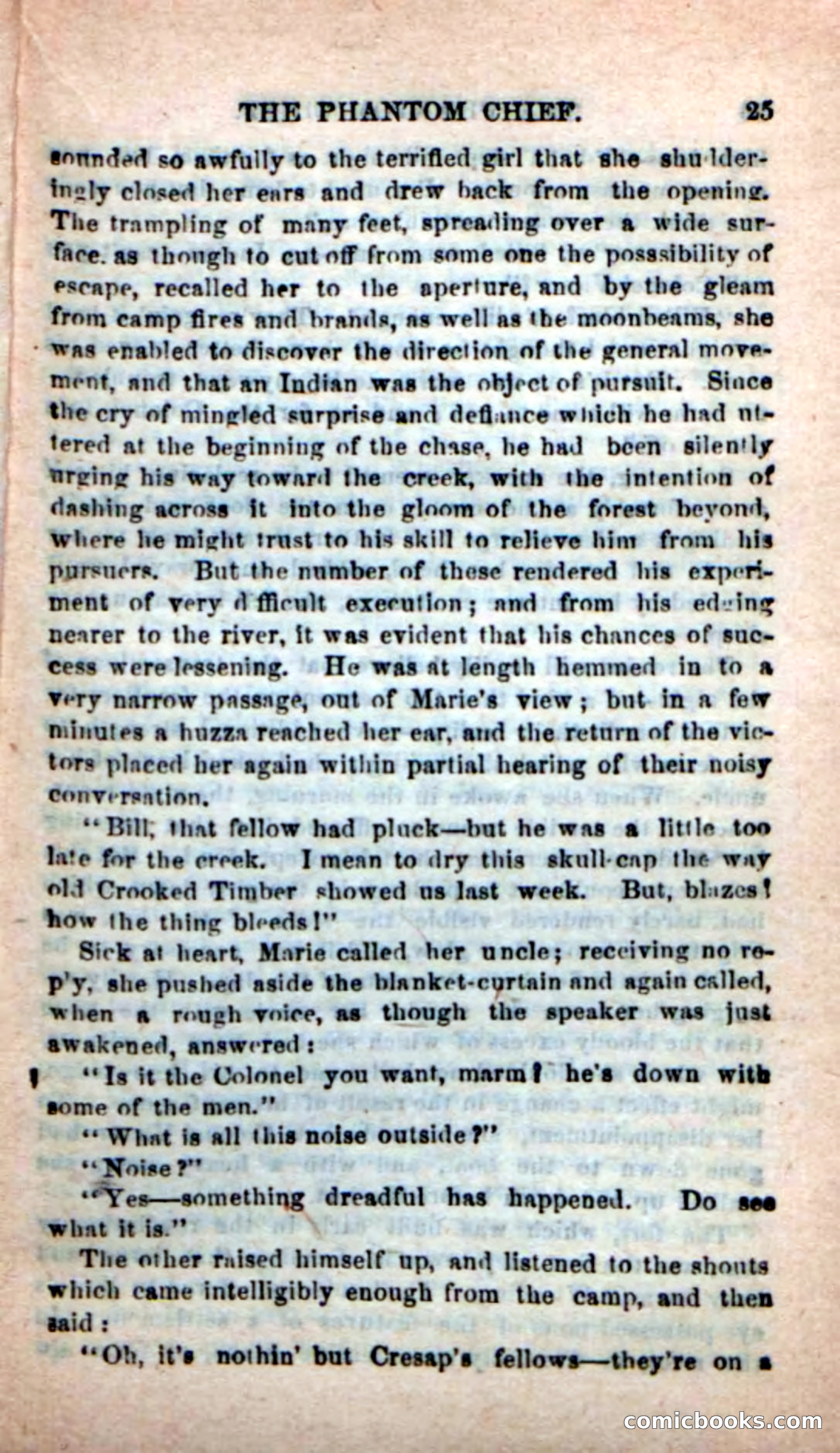 Beadle's New Dime Novels: The Specter Chief — page 21 of 100