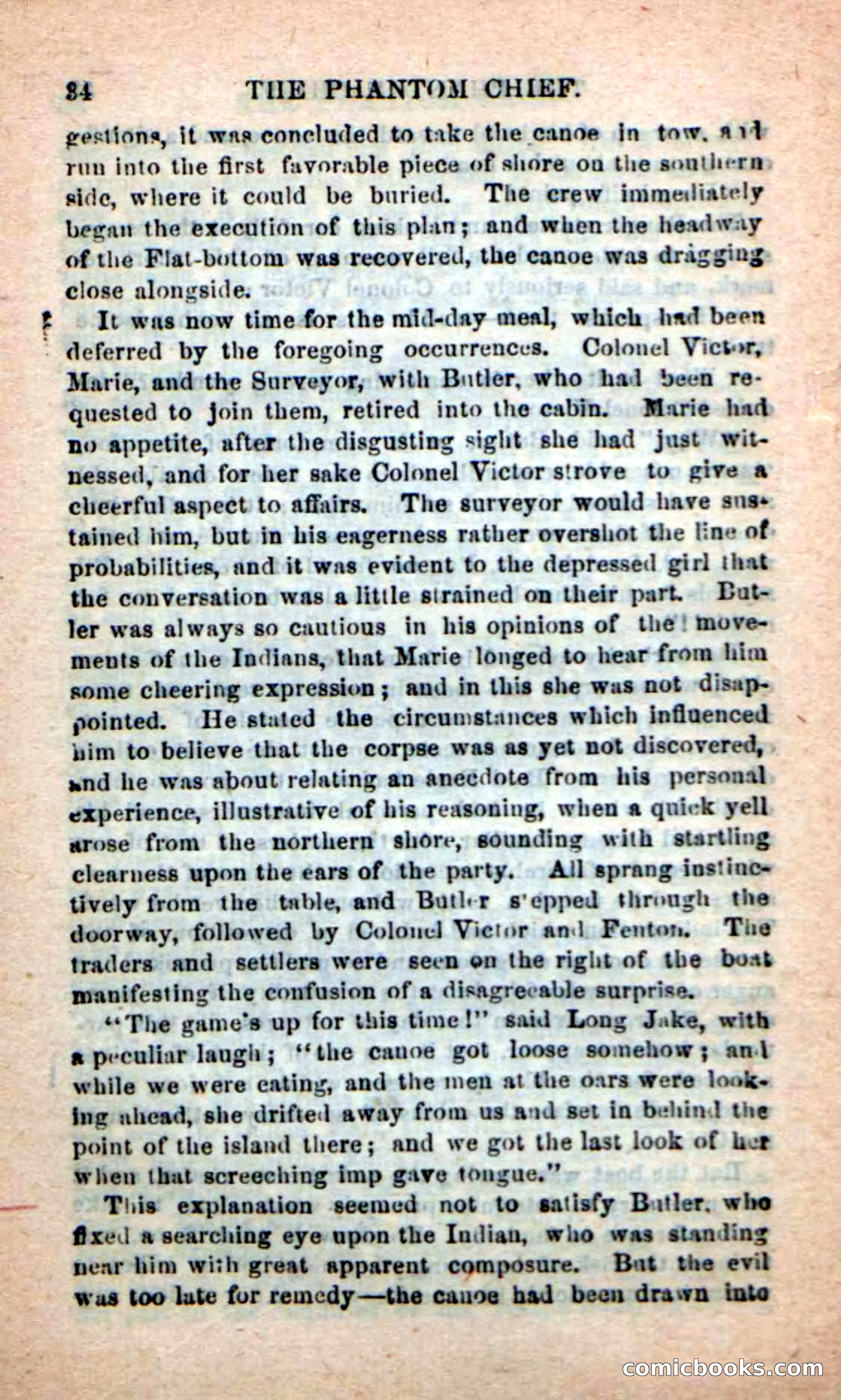 Beadle's New Dime Novels: The Specter Chief — page 30 of 100