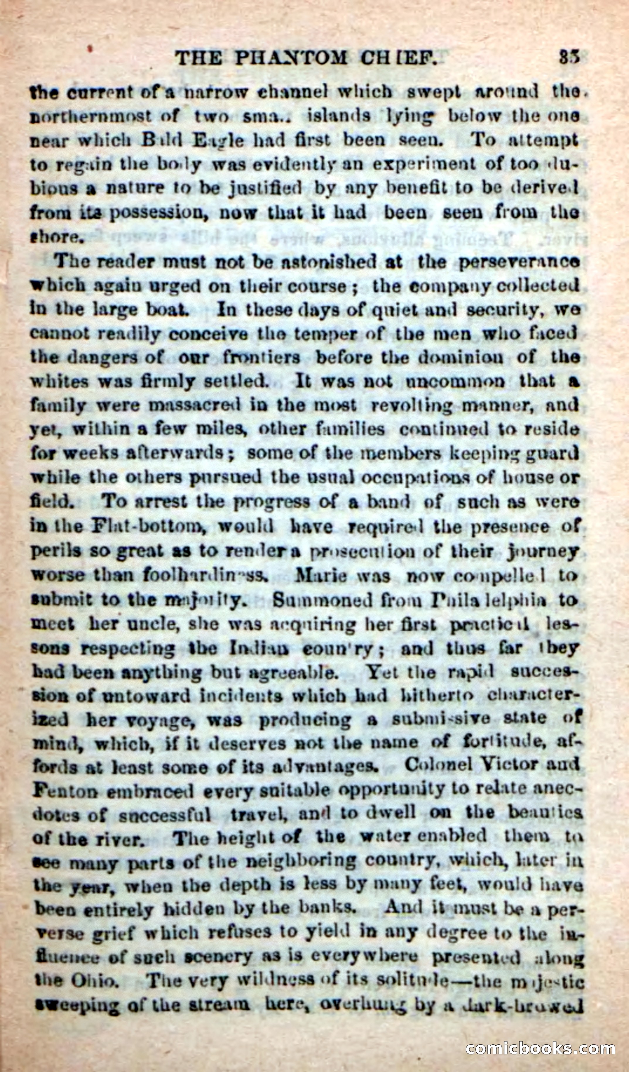 Beadle's New Dime Novels: The Specter Chief — page 31 of 100