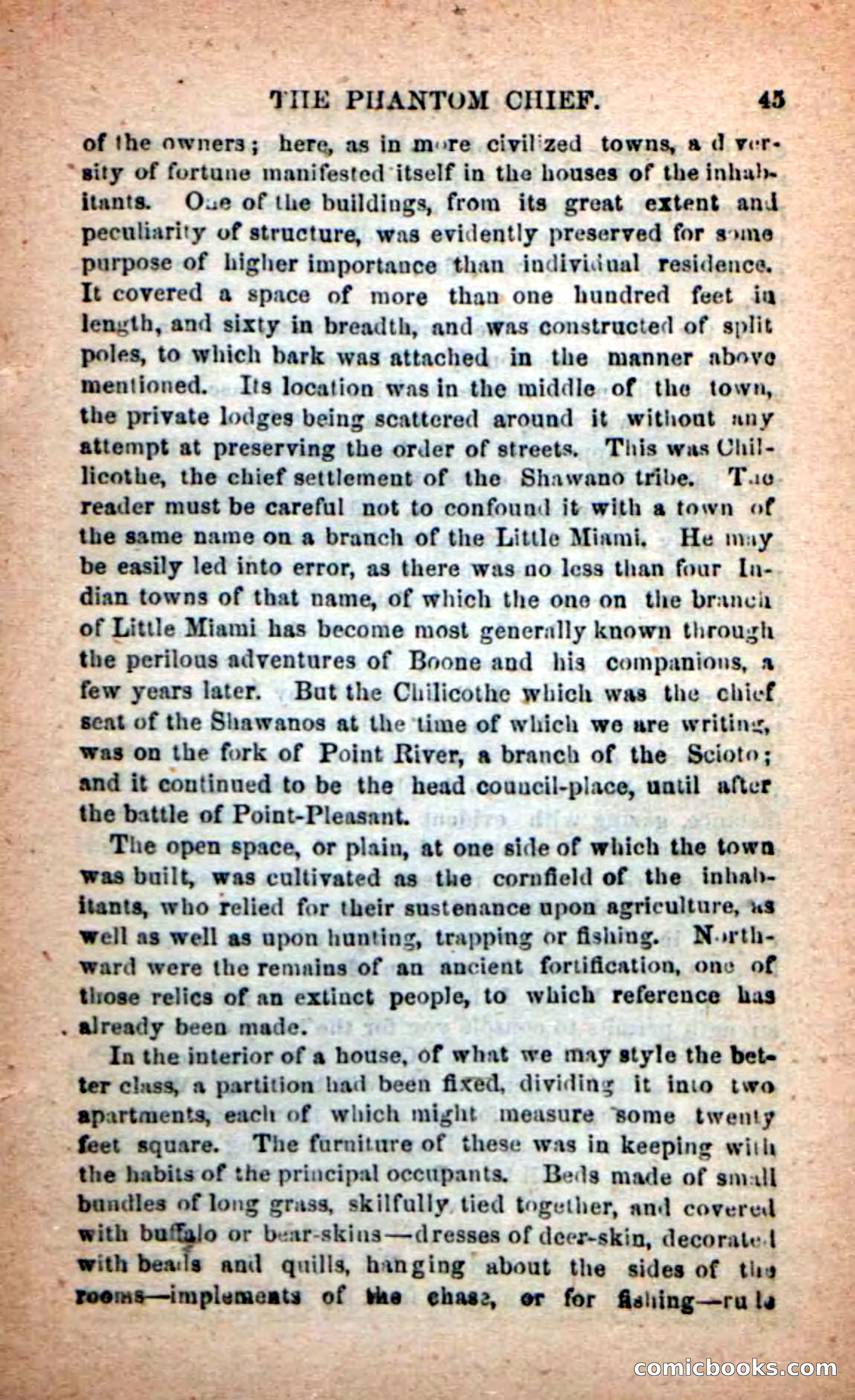 Beadle's New Dime Novels: The Specter Chief — page 41 of 100