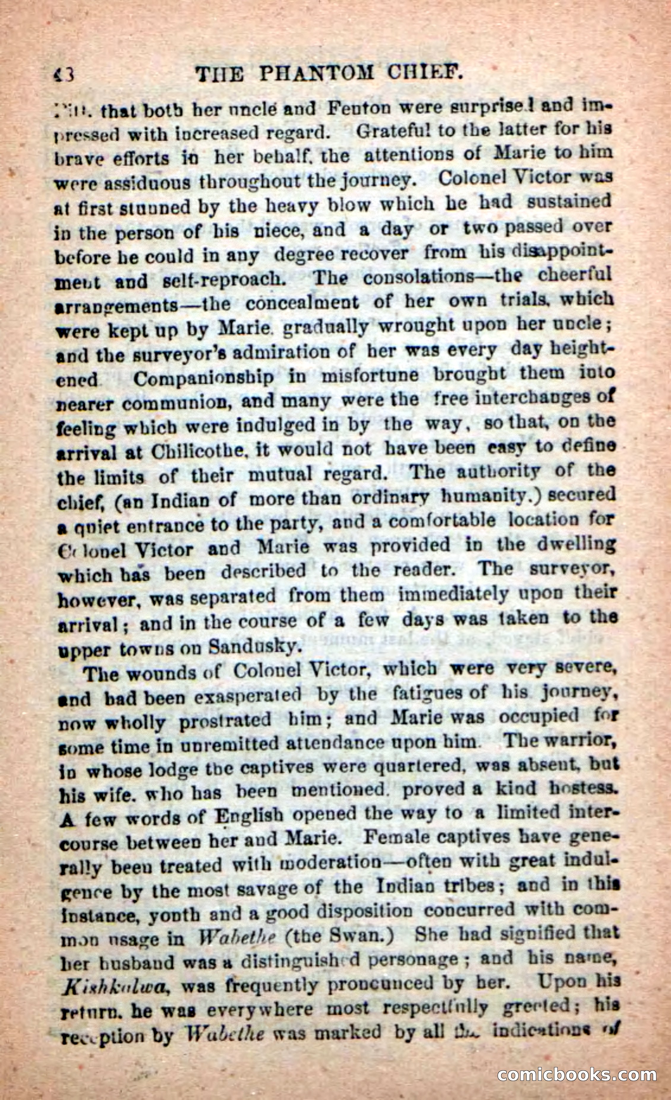 Beadle's New Dime Novels: The Specter Chief — page 44 of 100