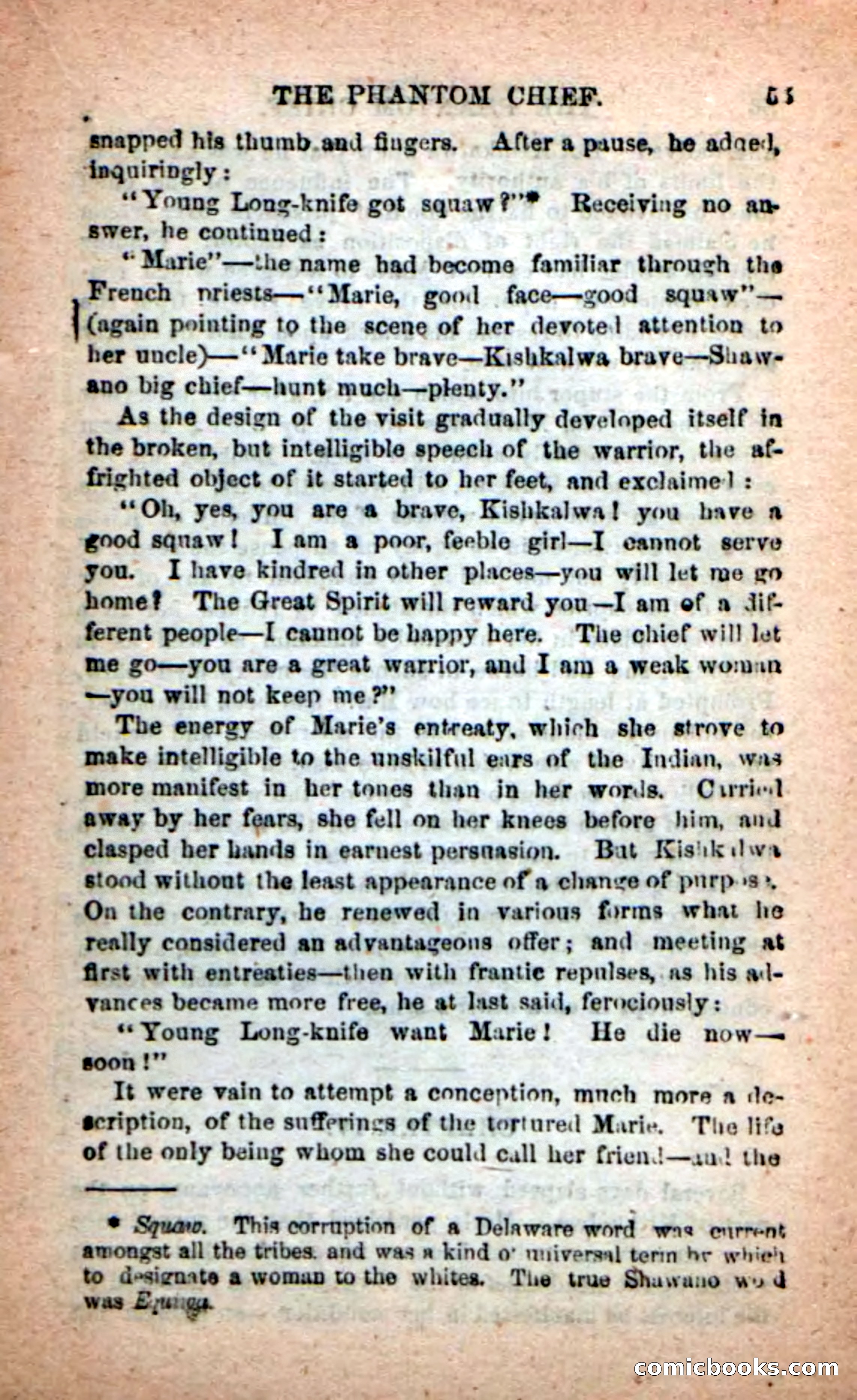 Beadle's New Dime Novels: The Specter Chief — page 51 of 100