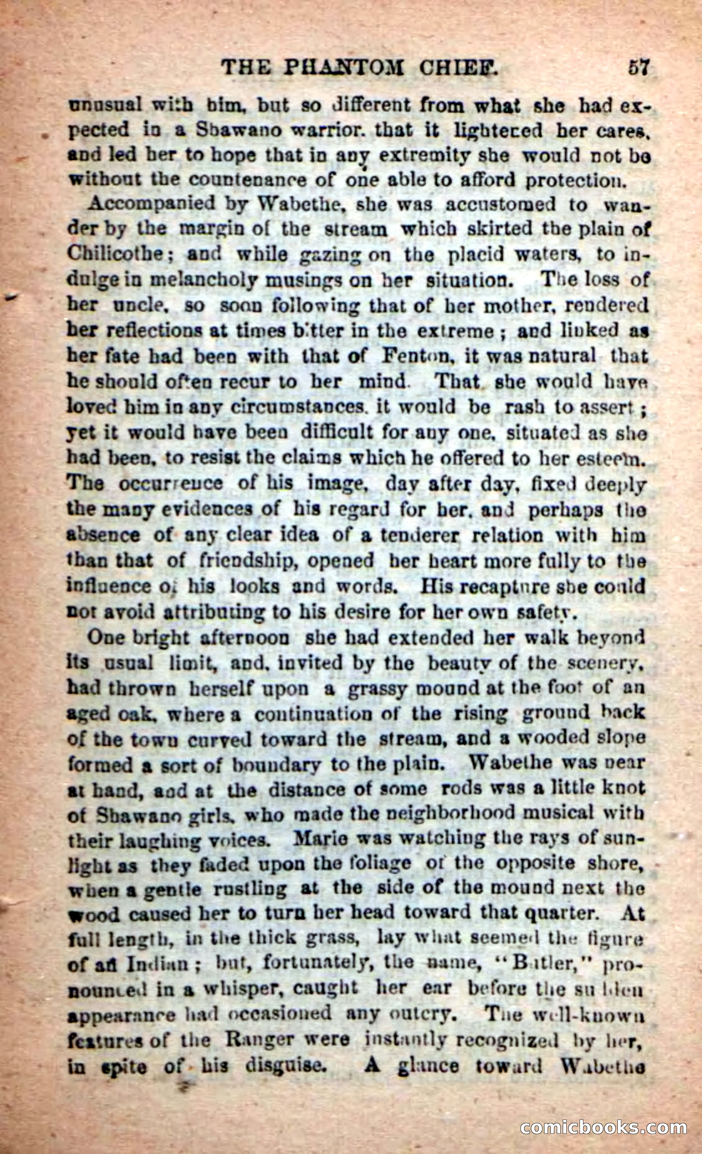 Beadle's New Dime Novels: The Specter Chief — page 53 of 100