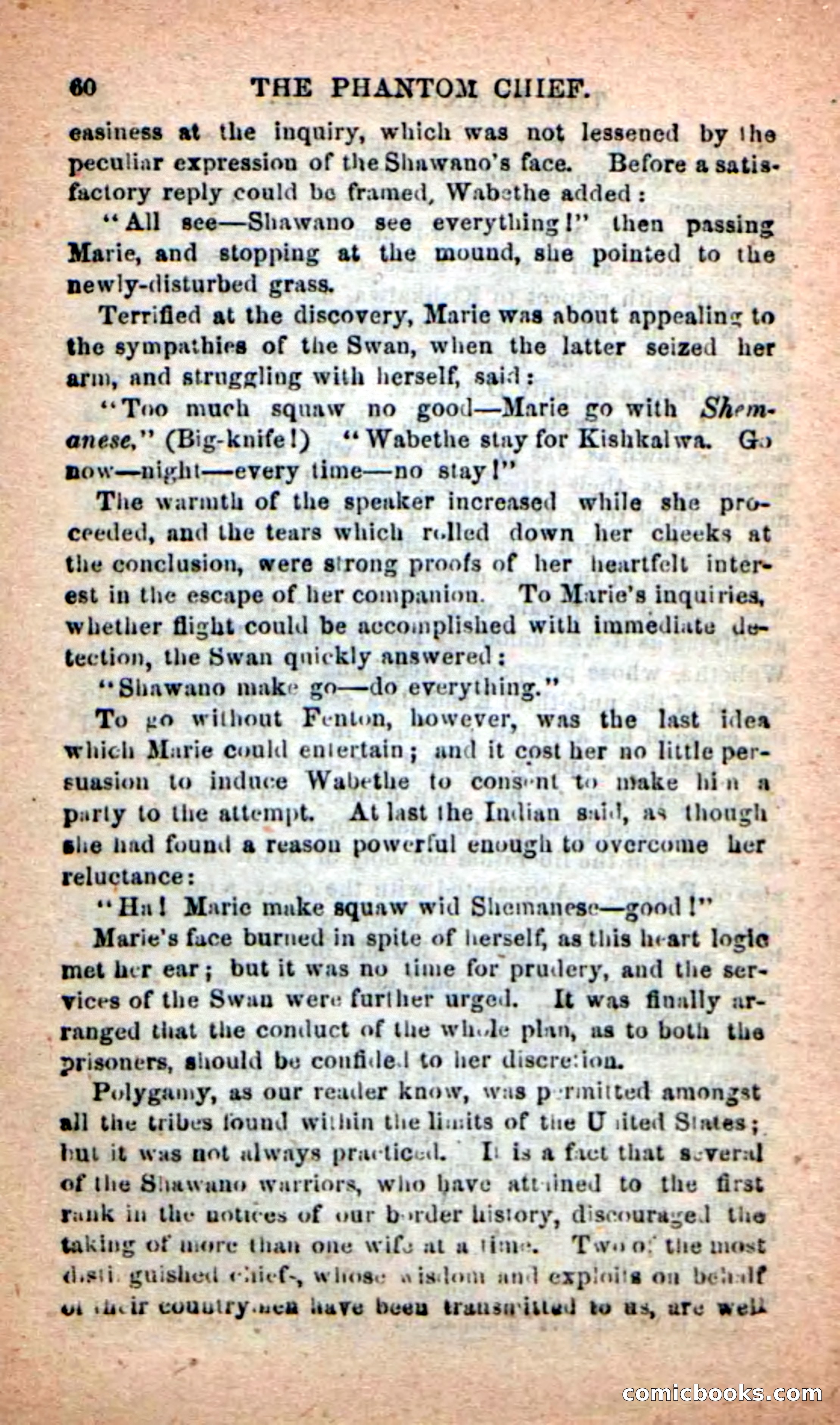 Beadle's New Dime Novels: The Specter Chief — page 56 of 100