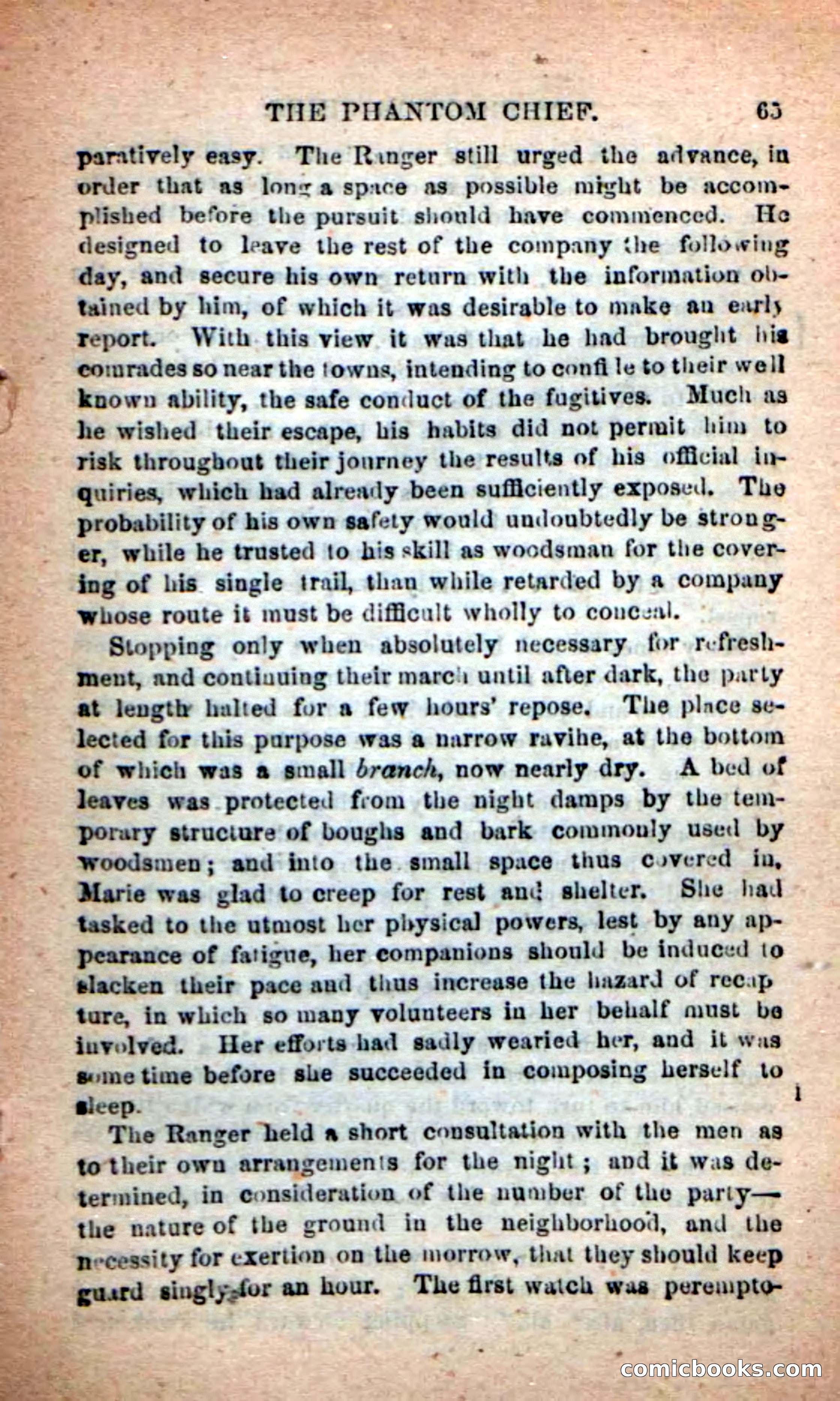 Beadle's New Dime Novels: The Specter Chief — page 61 of 100