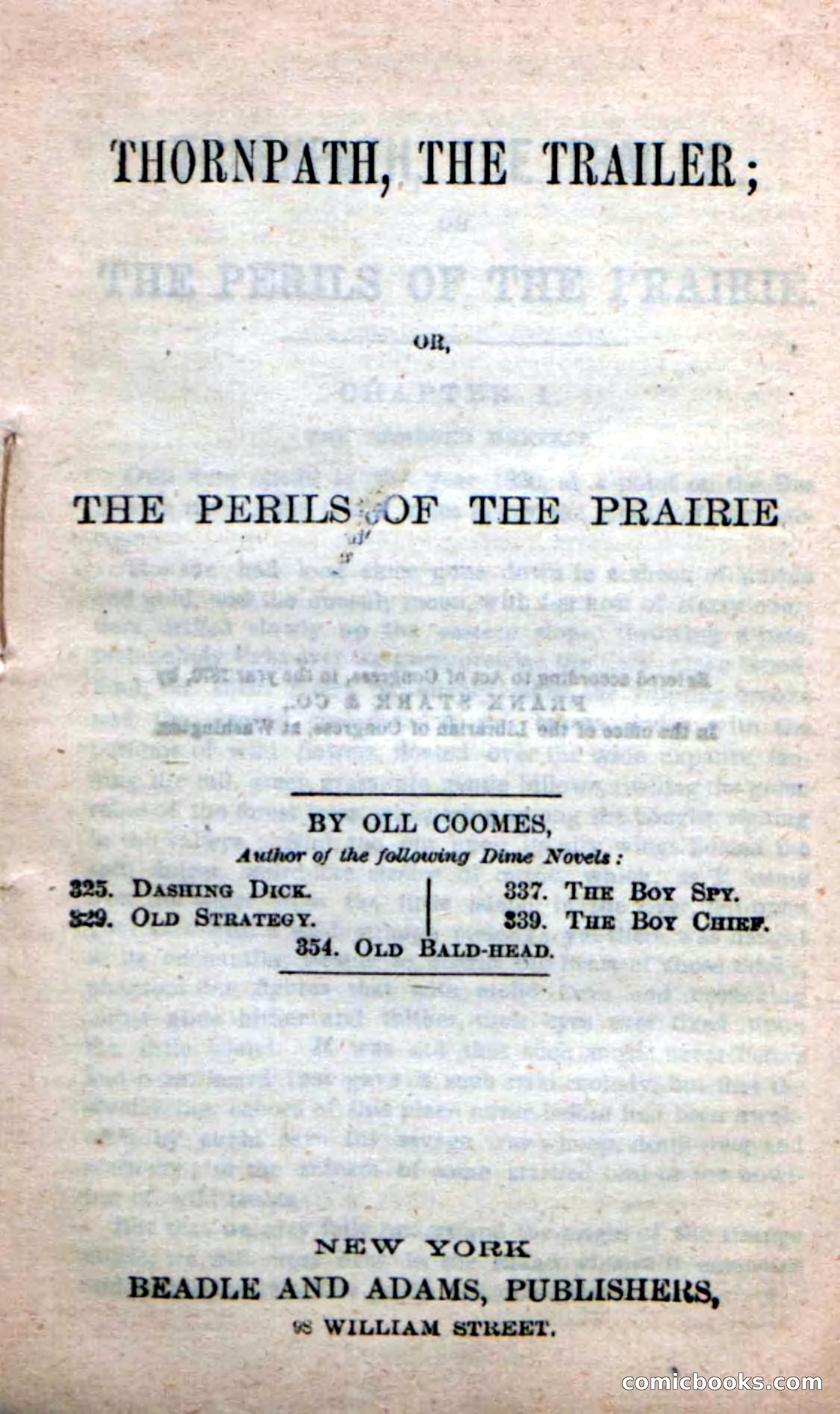 Beadle's New Dime Novels, No. 49 — page 3 of 100
