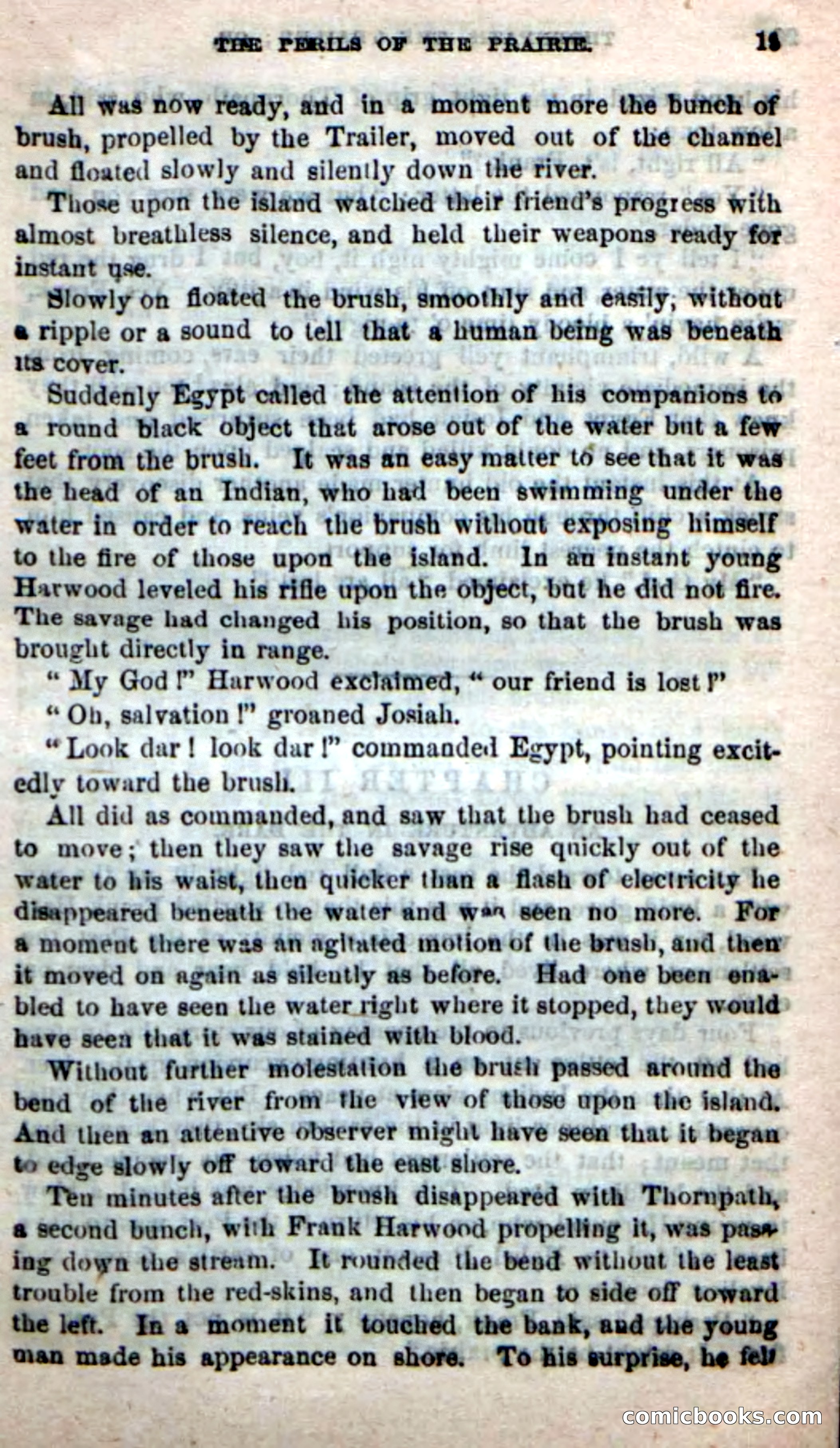 Beadle's New Dime Novels, No. 49 — page 15 of 100