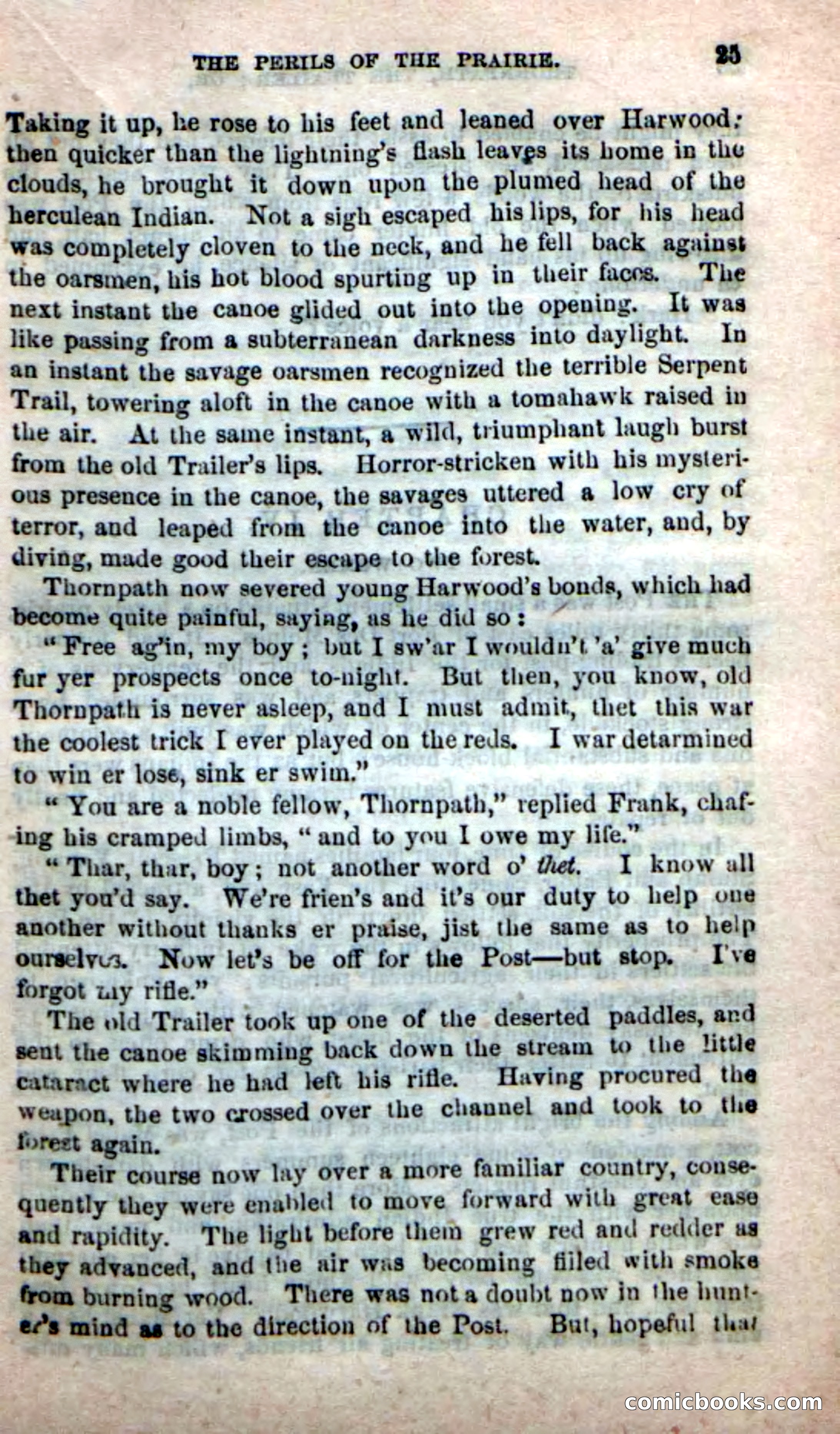 Beadle's New Dime Novels, No. 49 — page 21 of 100