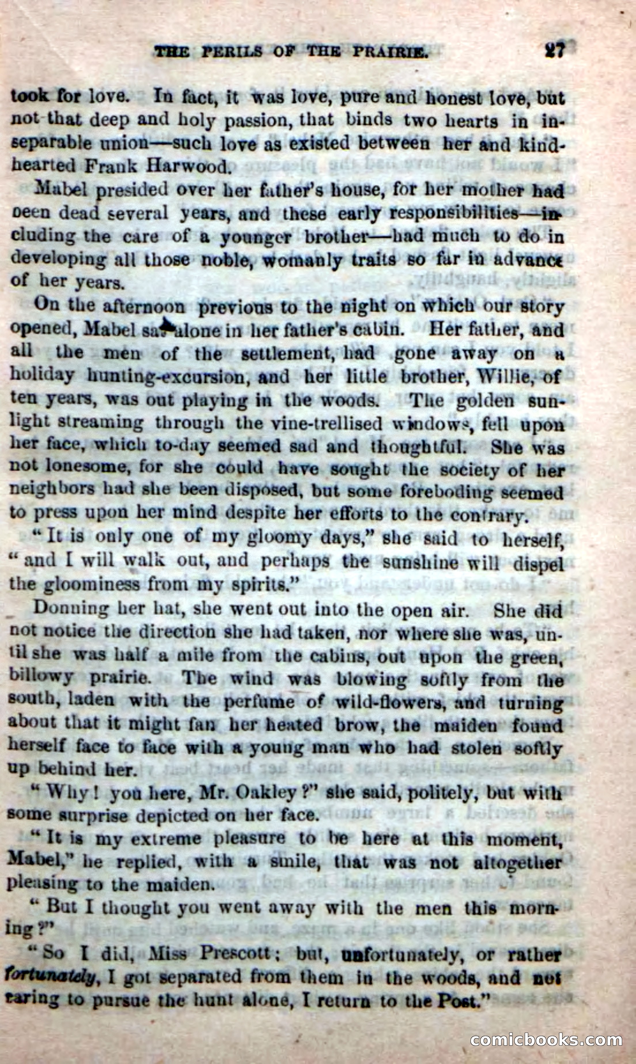 Beadle's New Dime Novels, No. 49 — page 23 of 100
