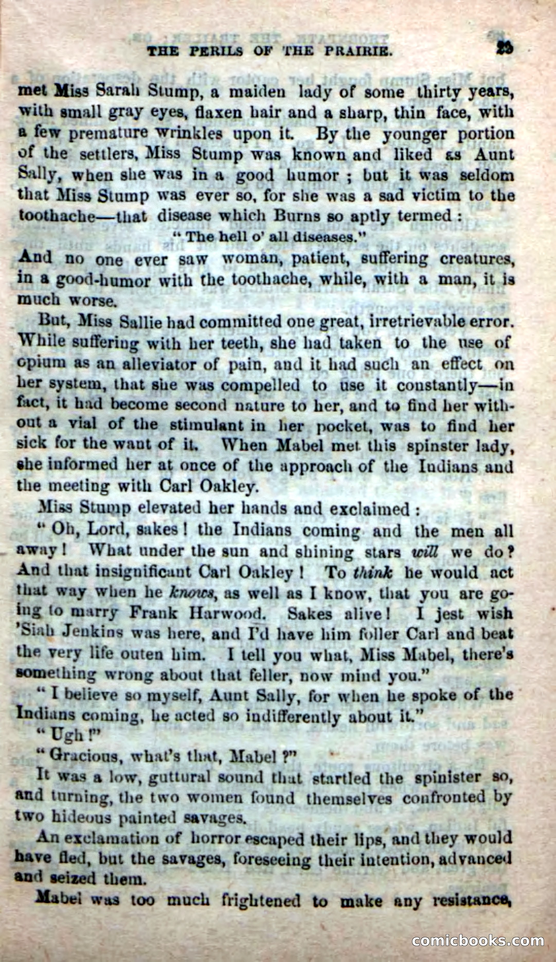 Beadle's New Dime Novels, No. 49 — page 25 of 100