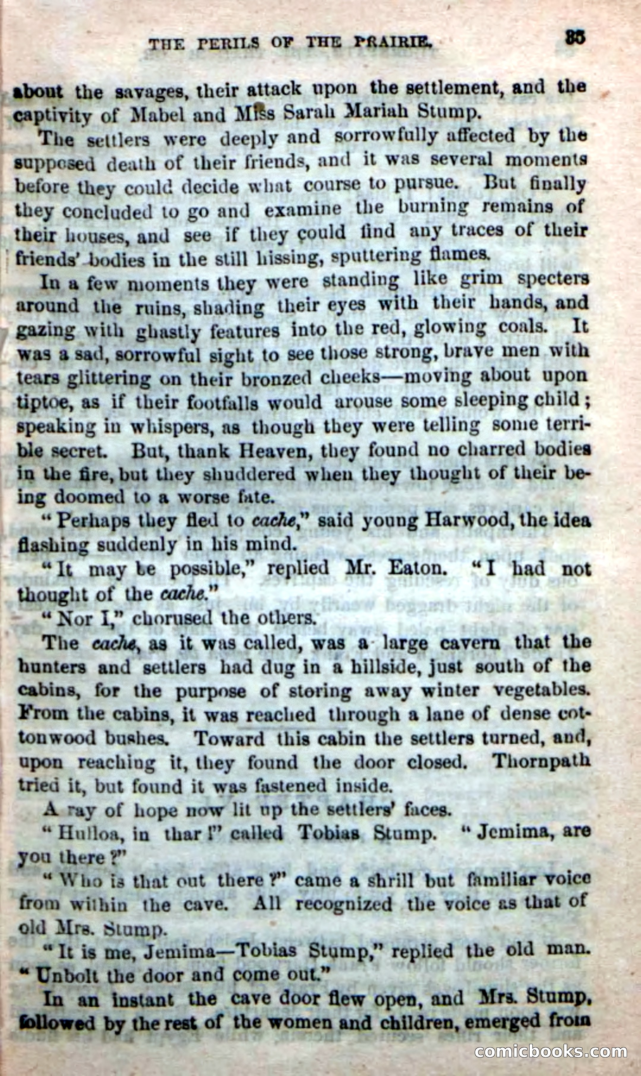 Beadle's New Dime Novels, No. 49 — page 31 of 100