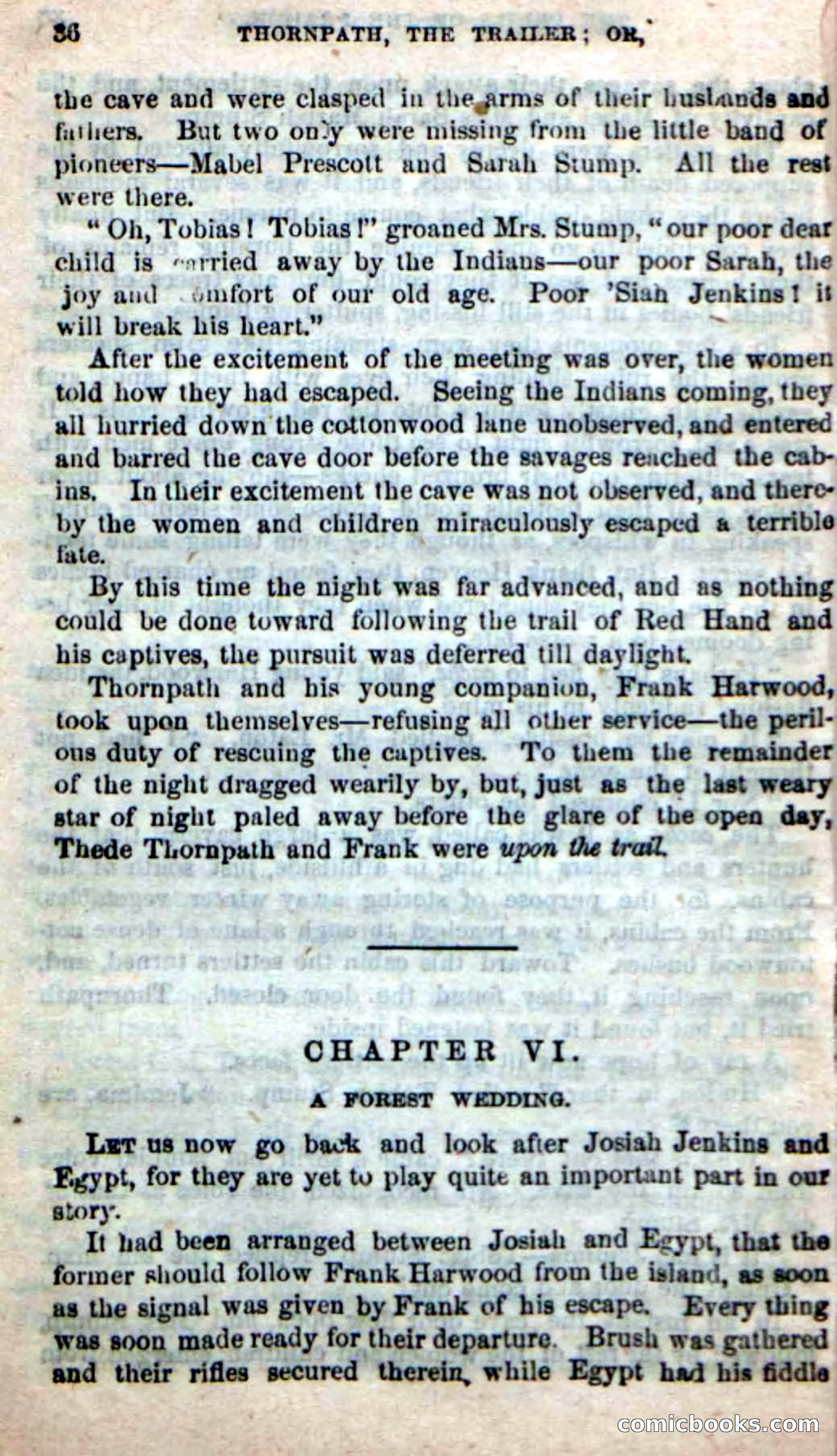 Beadle's New Dime Novels, No. 49 — page 32 of 100