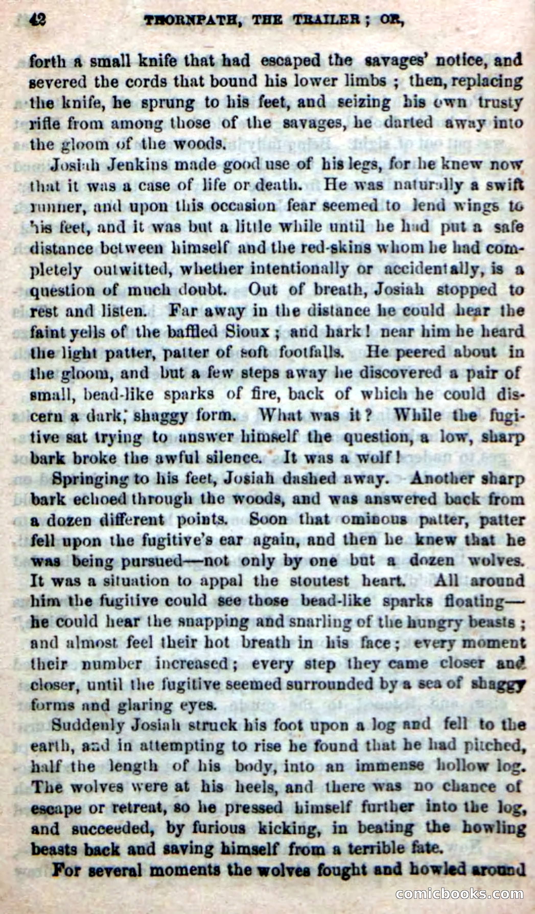 Beadle's New Dime Novels, No. 49 — page 38 of 100