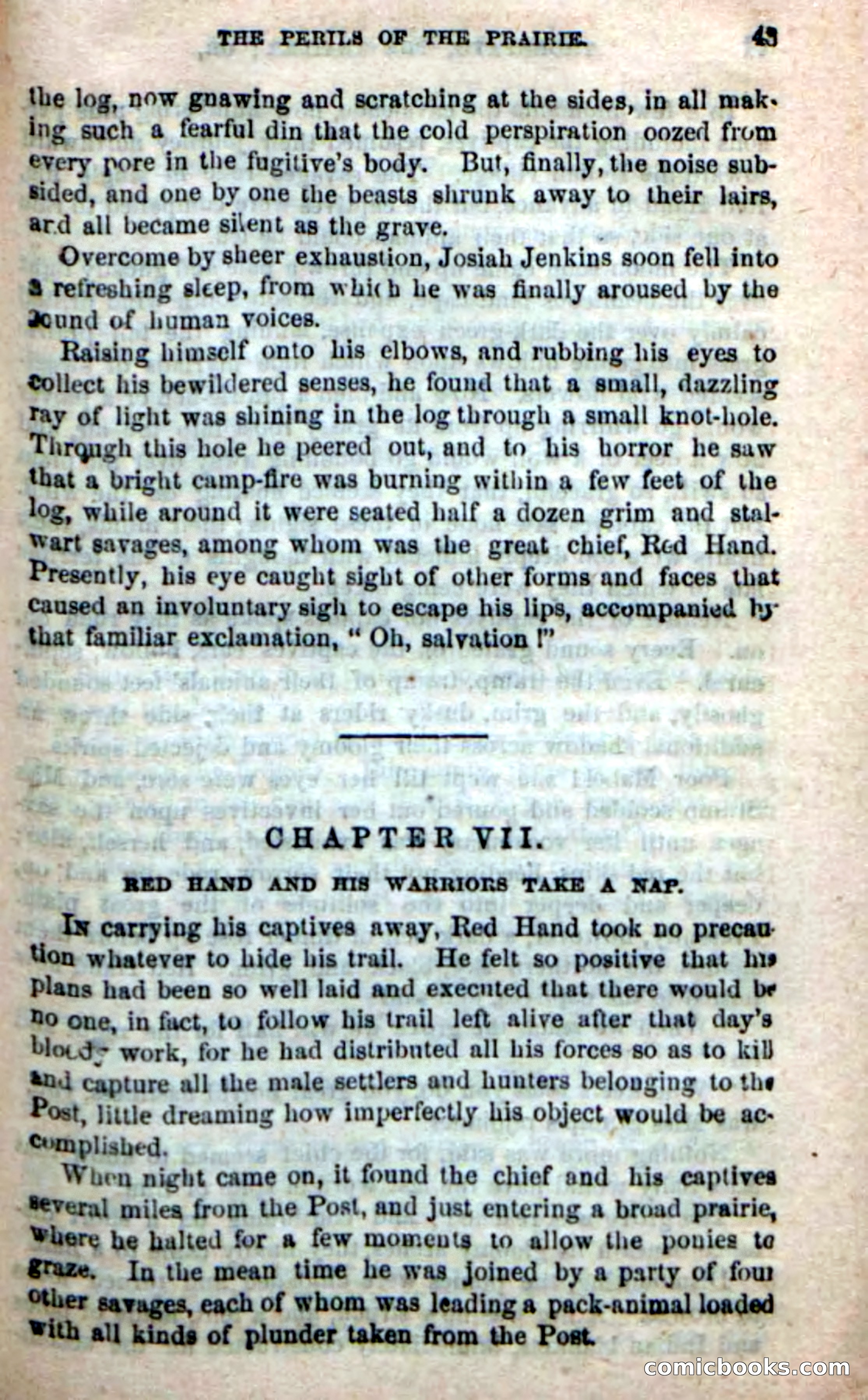 Beadle's New Dime Novels, No. 49 — page 39 of 100
