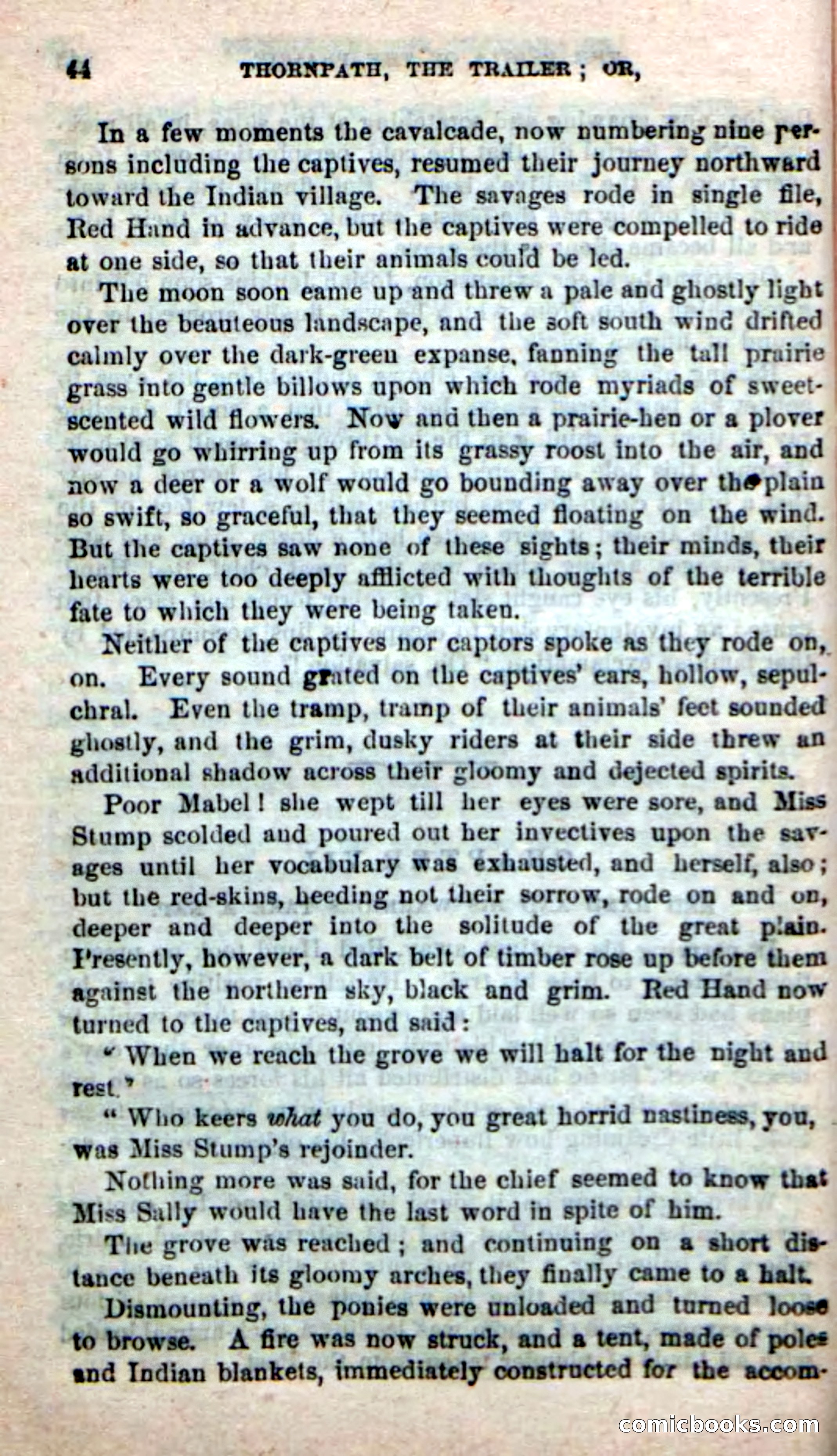 Beadle's New Dime Novels, No. 49 — page 40 of 100