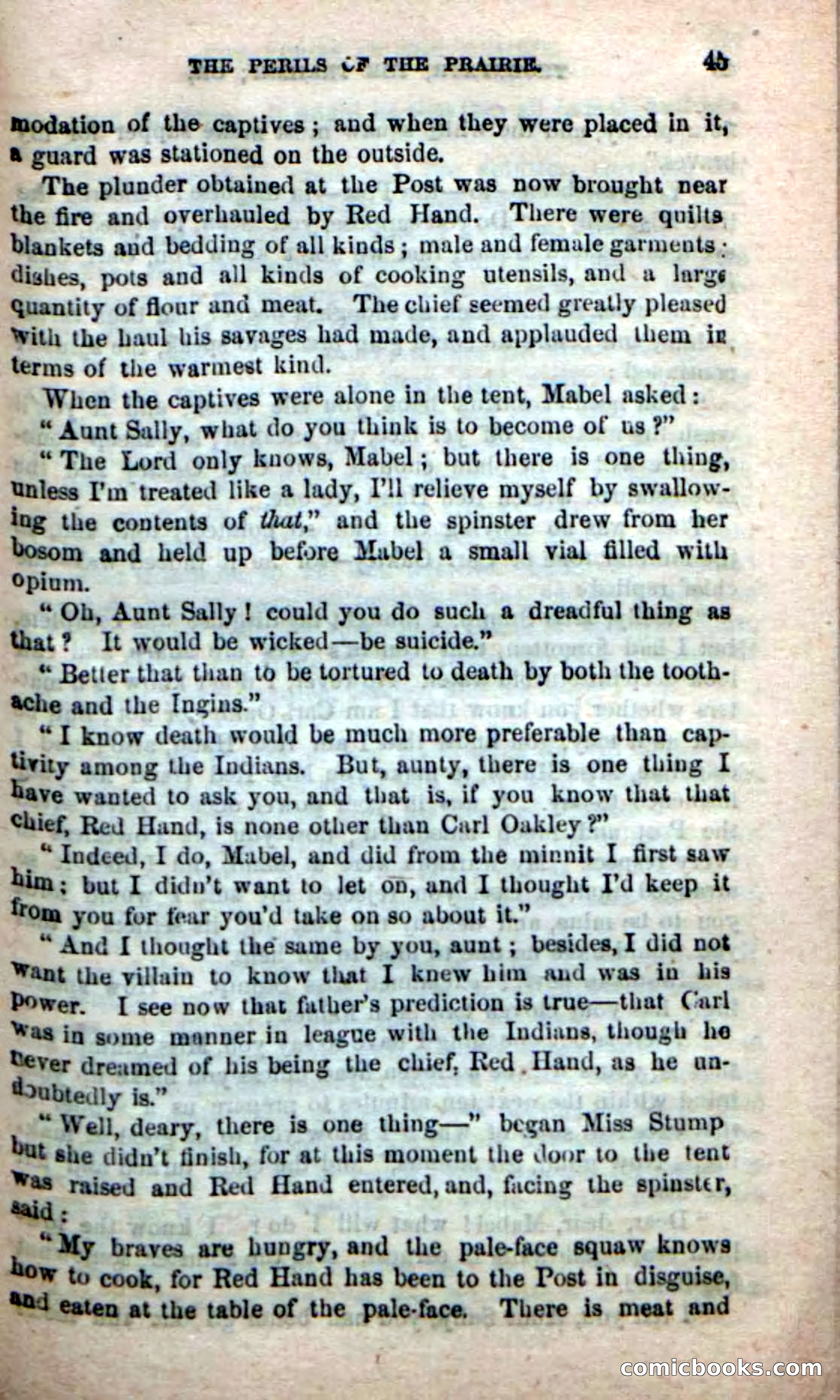 Beadle's New Dime Novels, No. 49 — page 41 of 100