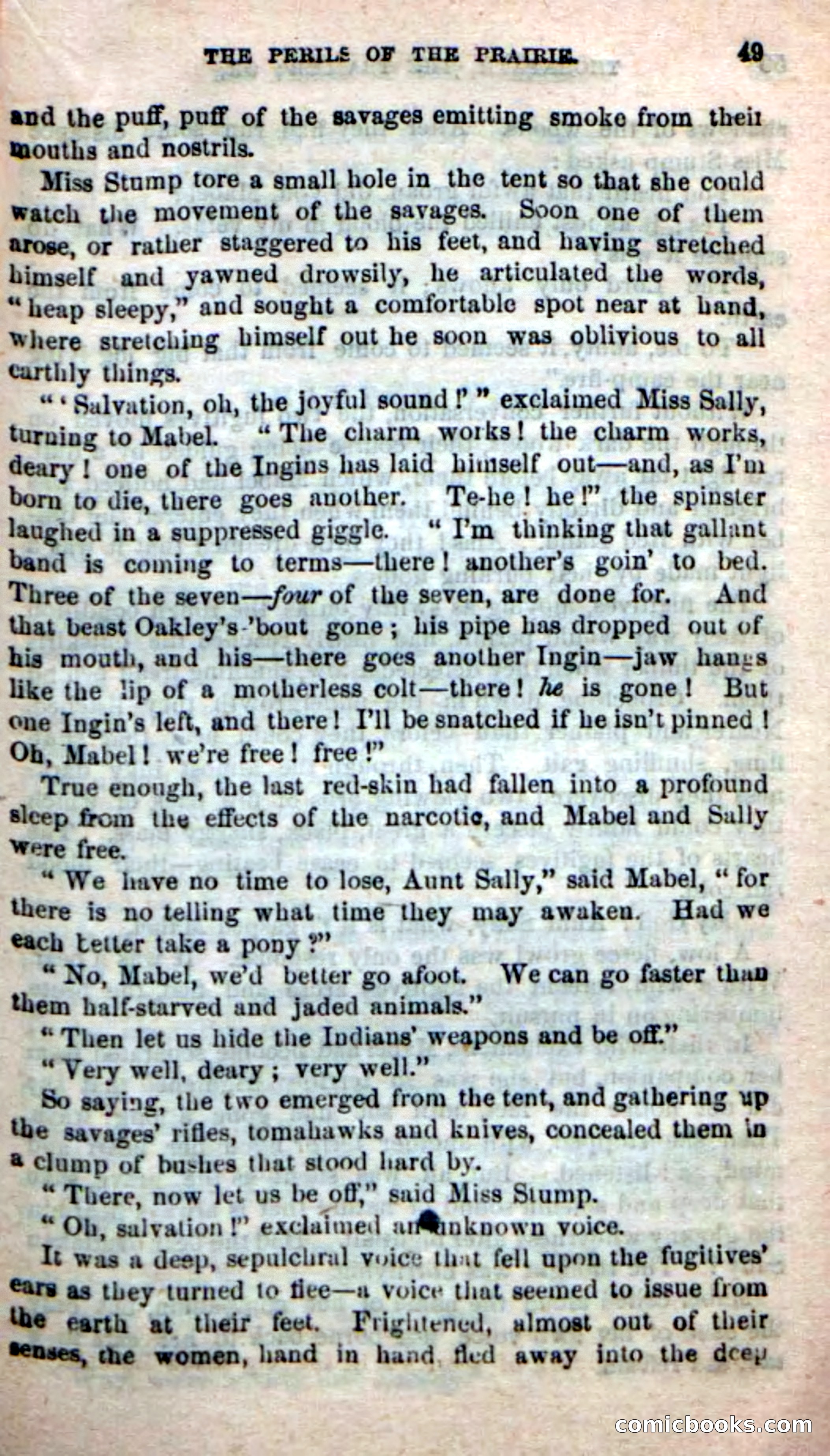 Beadle's New Dime Novels, No. 49 — page 45 of 100