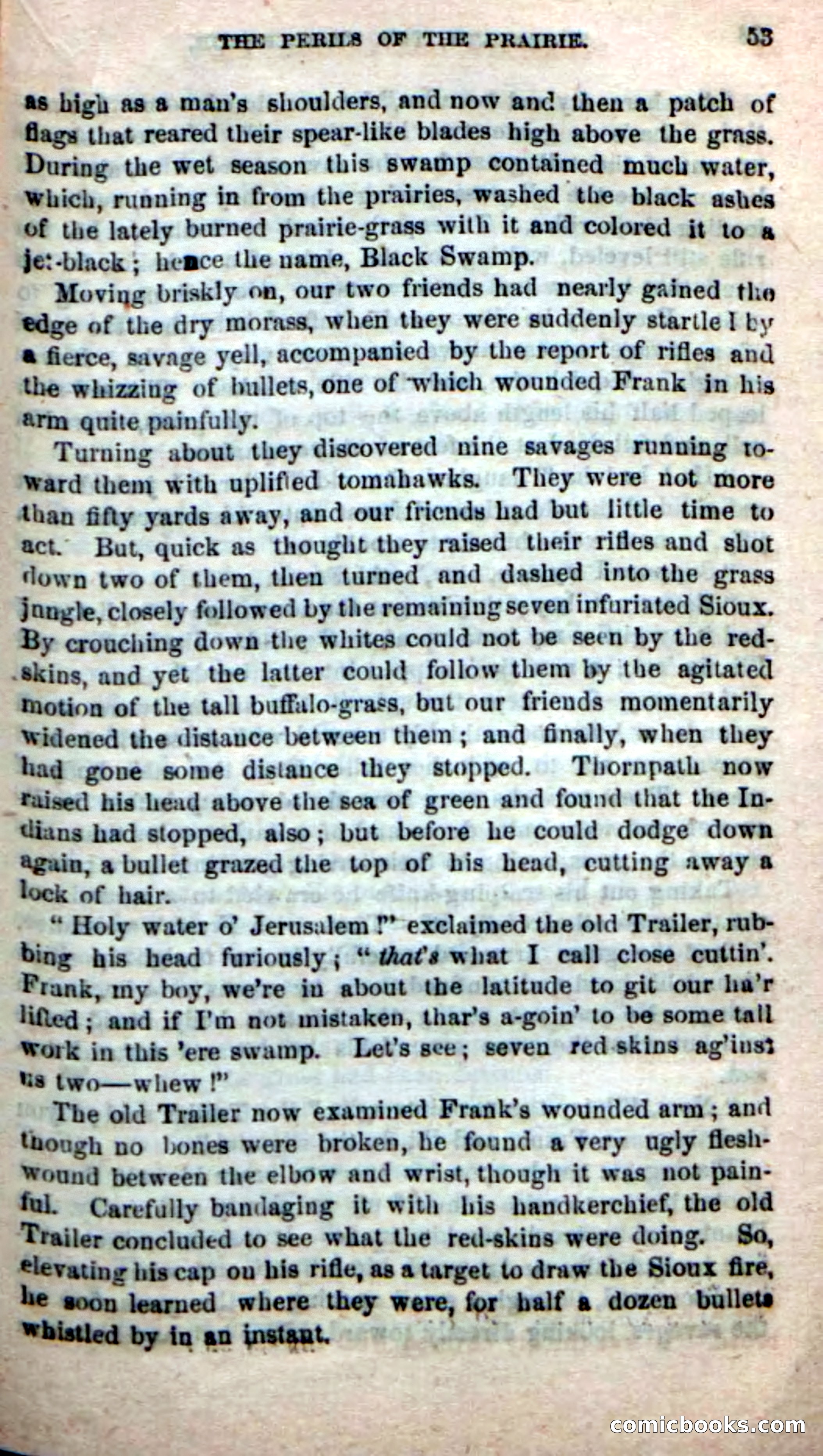 Beadle's New Dime Novels, No. 49 — page 49 of 100
