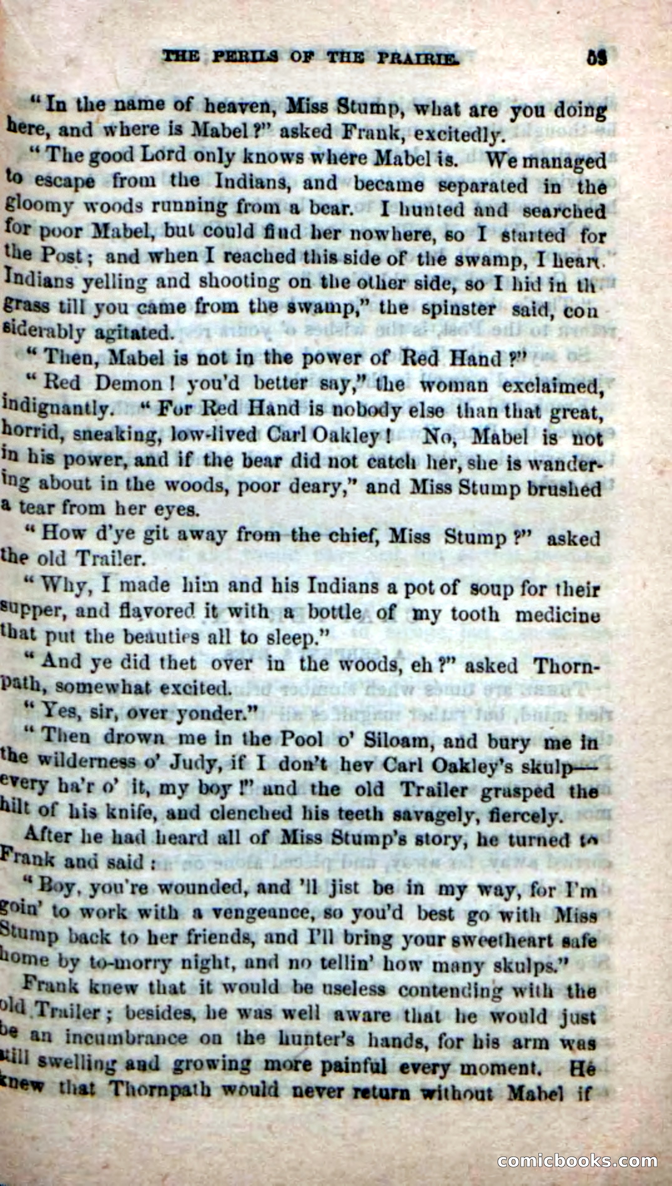 Beadle's New Dime Novels, No. 49 — page 55 of 100