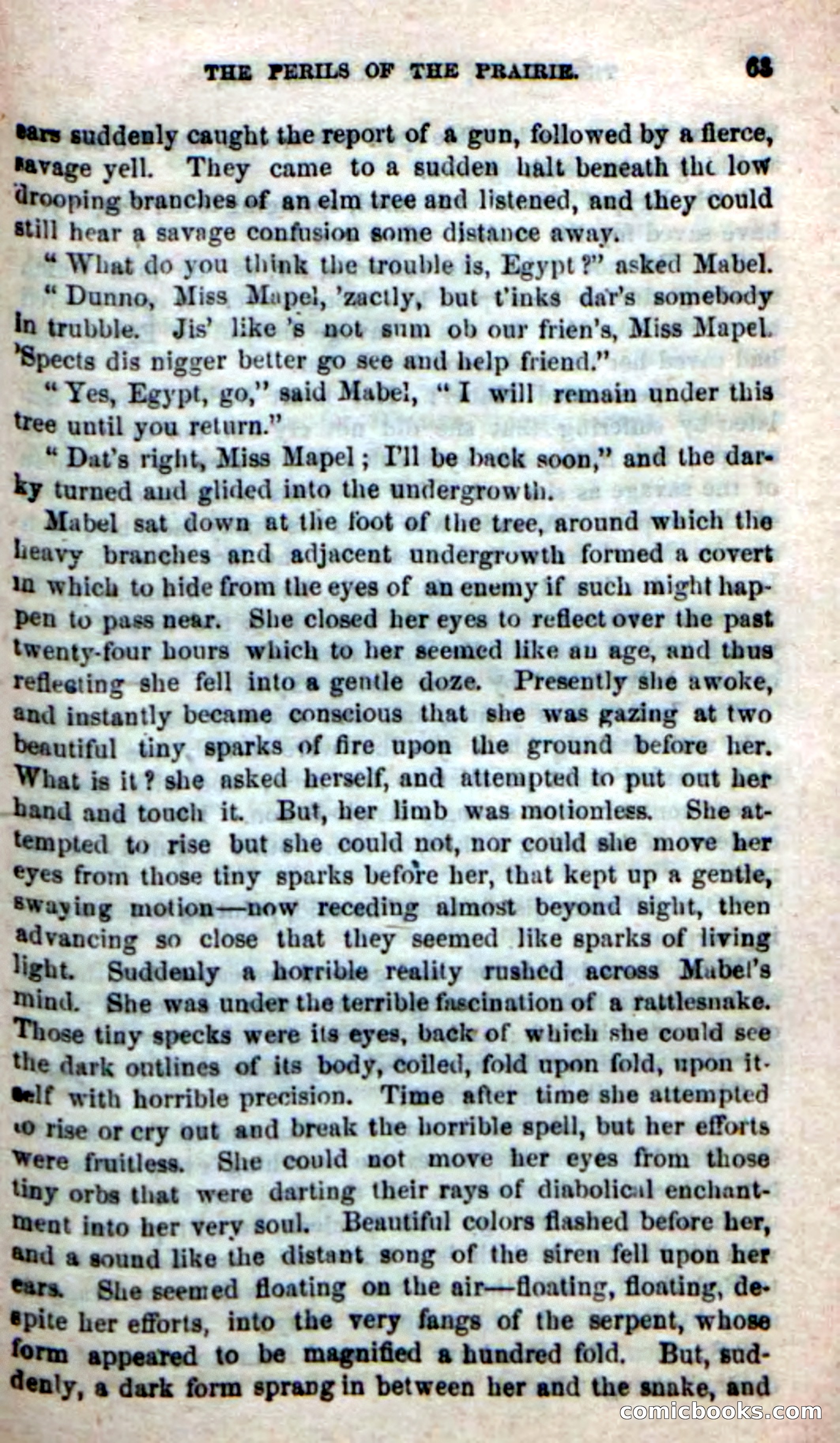 Beadle's New Dime Novels, No. 49 — page 59 of 100