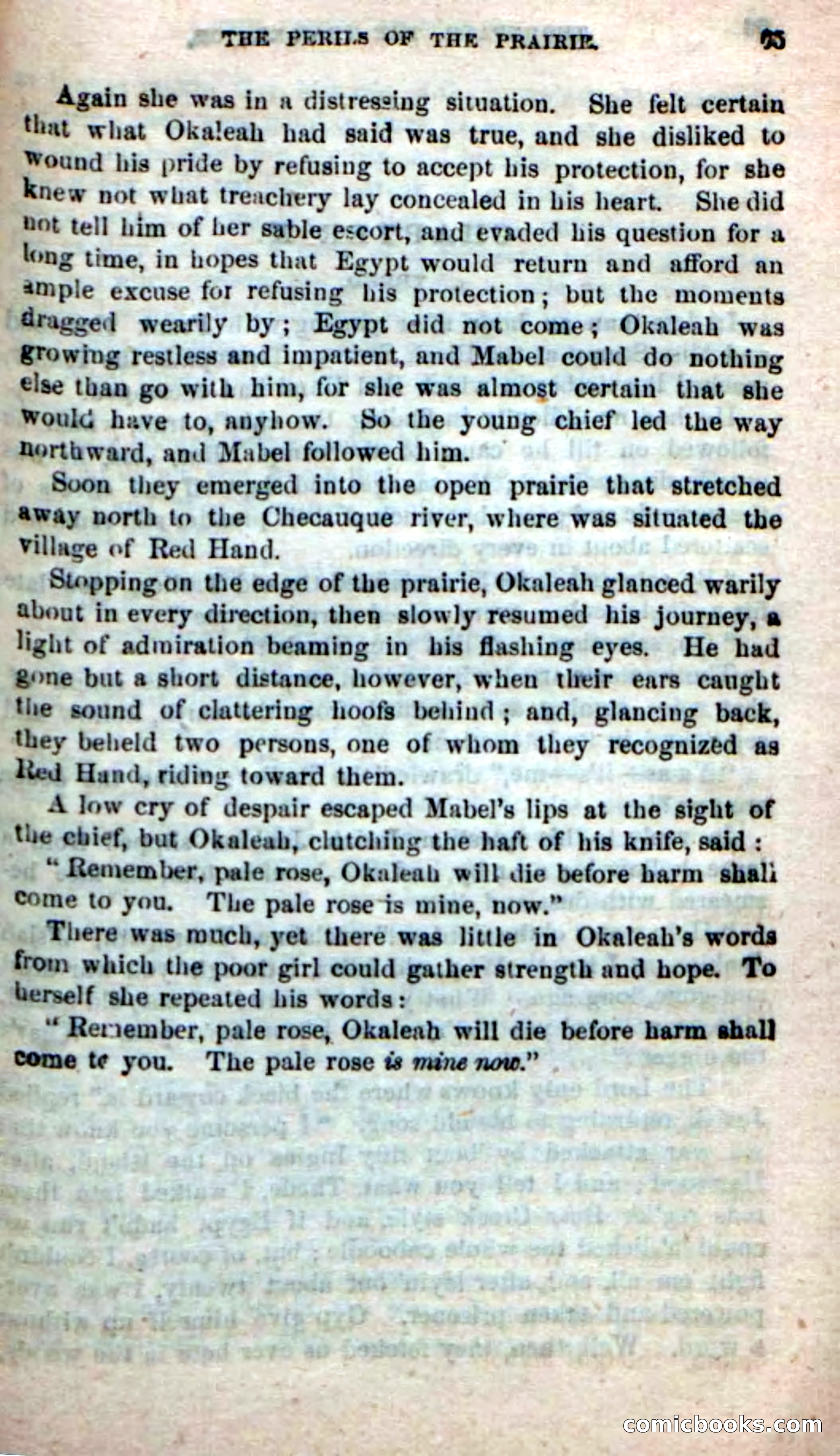 Beadle's New Dime Novels, No. 49 — page 61 of 100