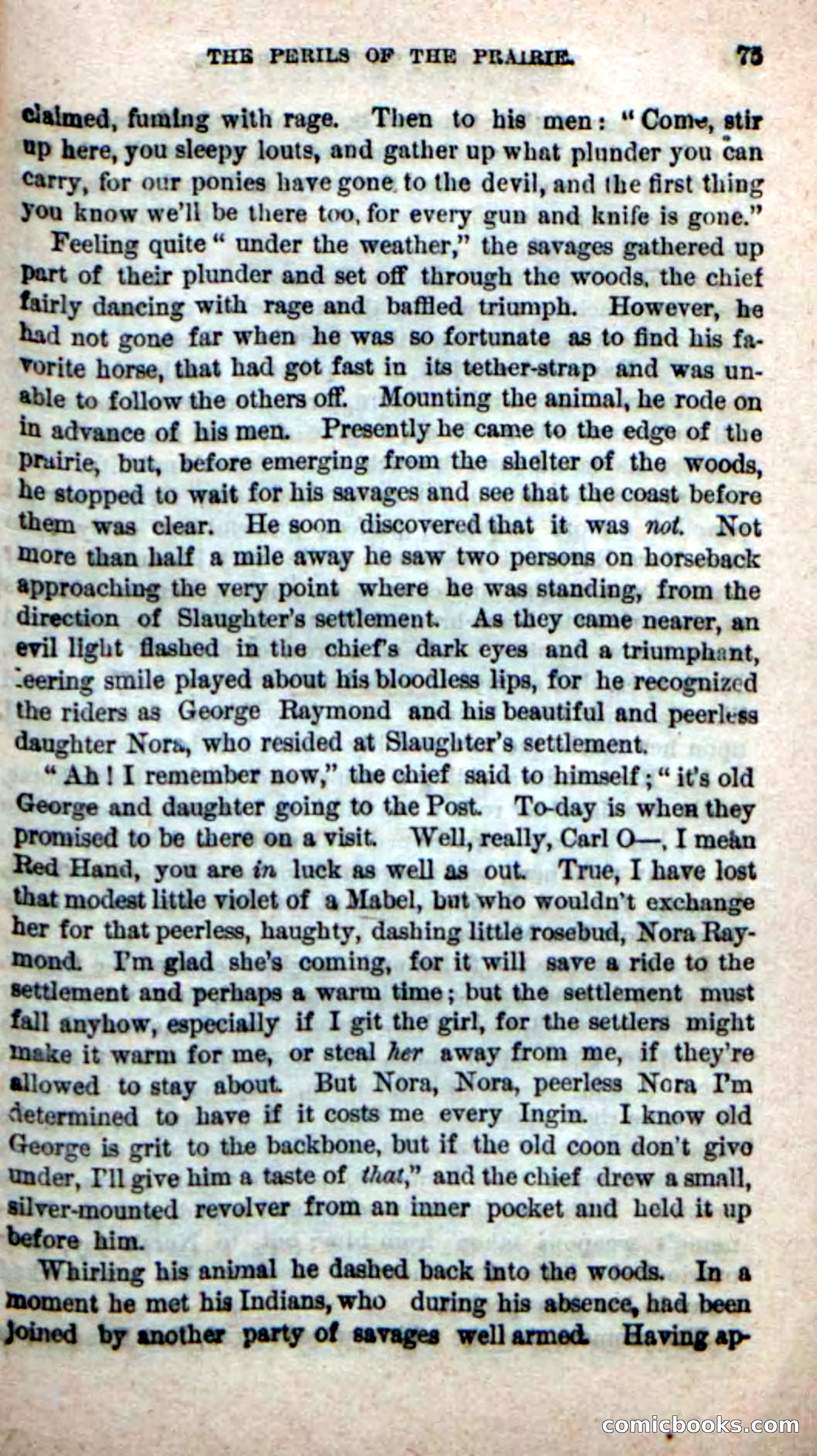Beadle's New Dime Novels, No. 49 — page 71 of 100
