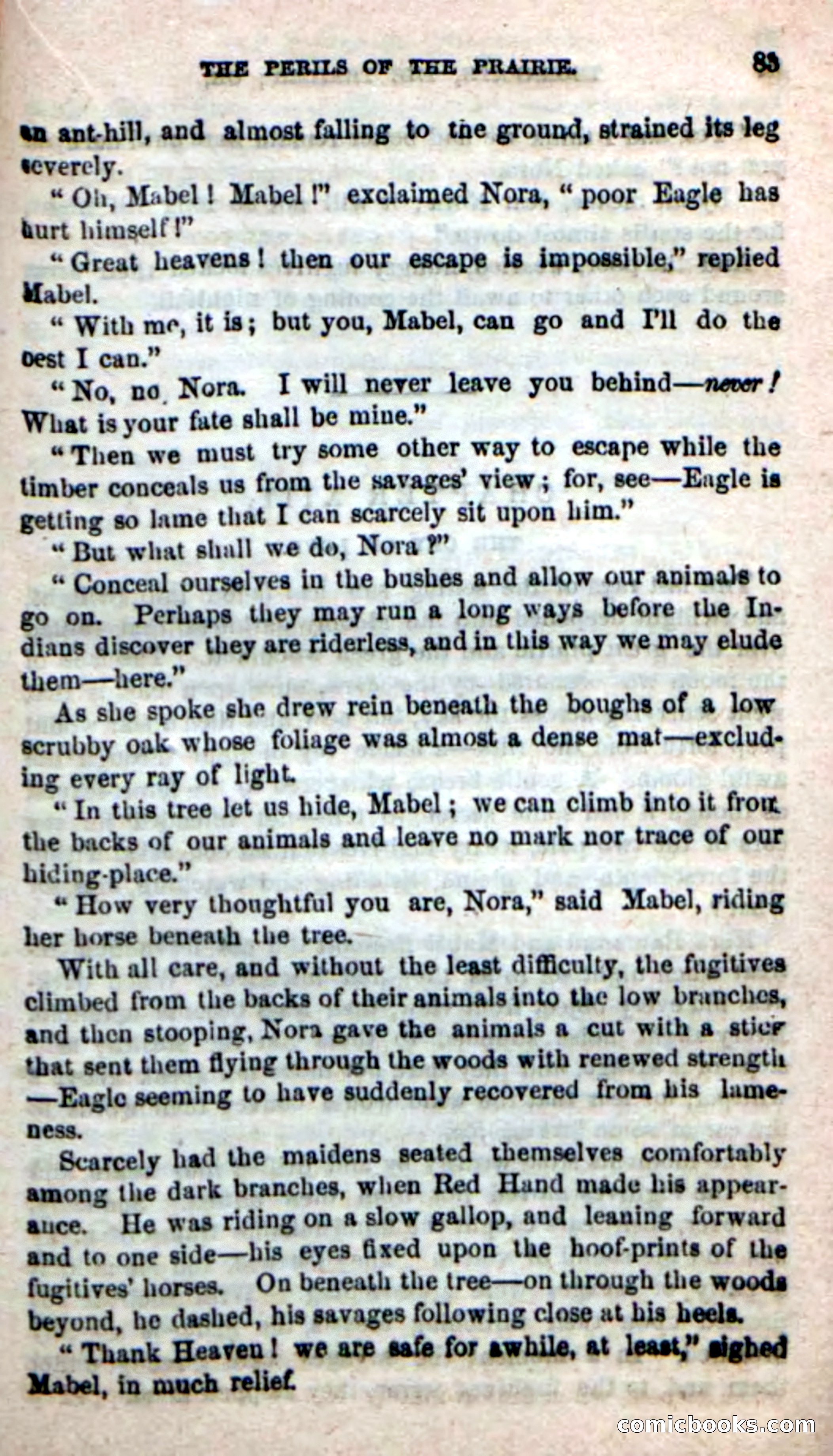 Beadle's New Dime Novels, No. 49 — page 79 of 100
