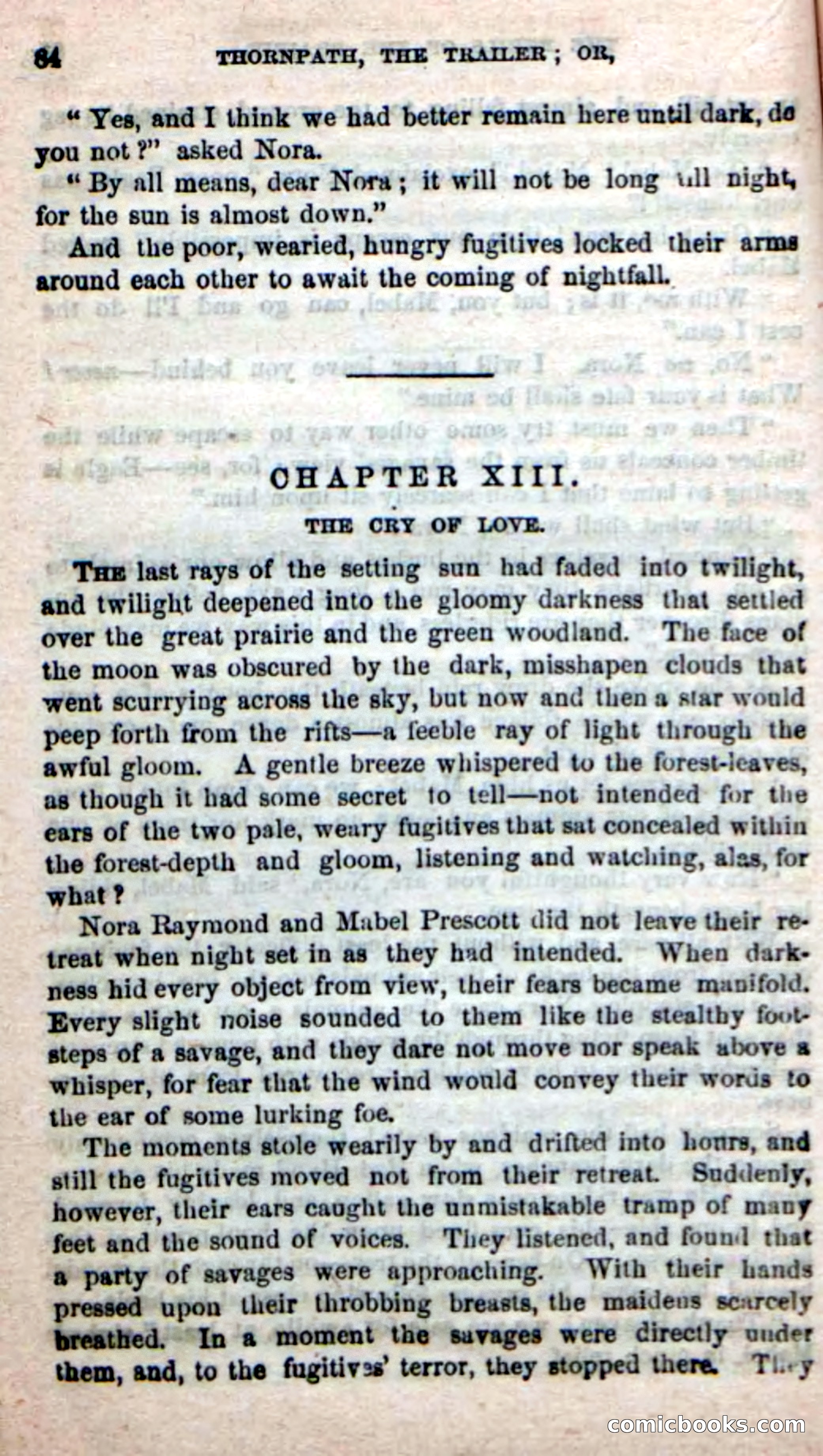Beadle's New Dime Novels, No. 49 — page 80 of 100