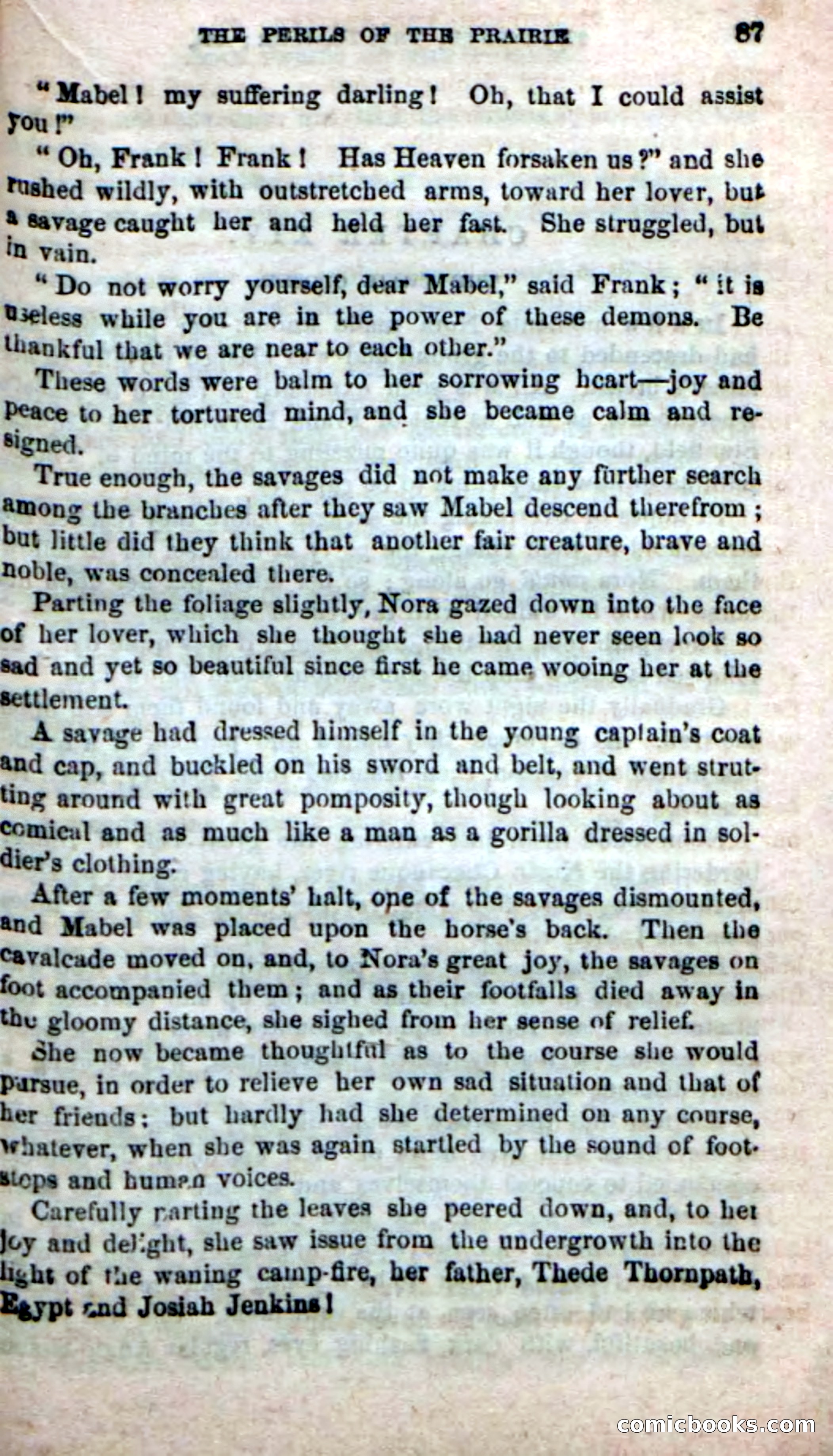 Beadle's New Dime Novels, No. 49 — page 83 of 100