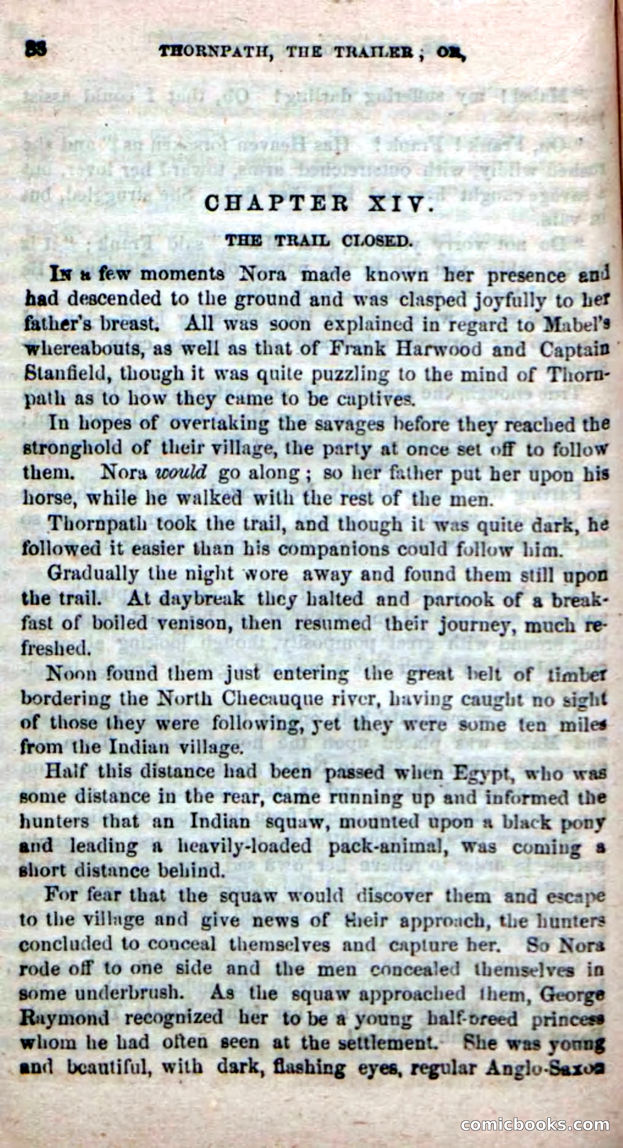 Beadle's New Dime Novels, No. 49 — page 84 of 100