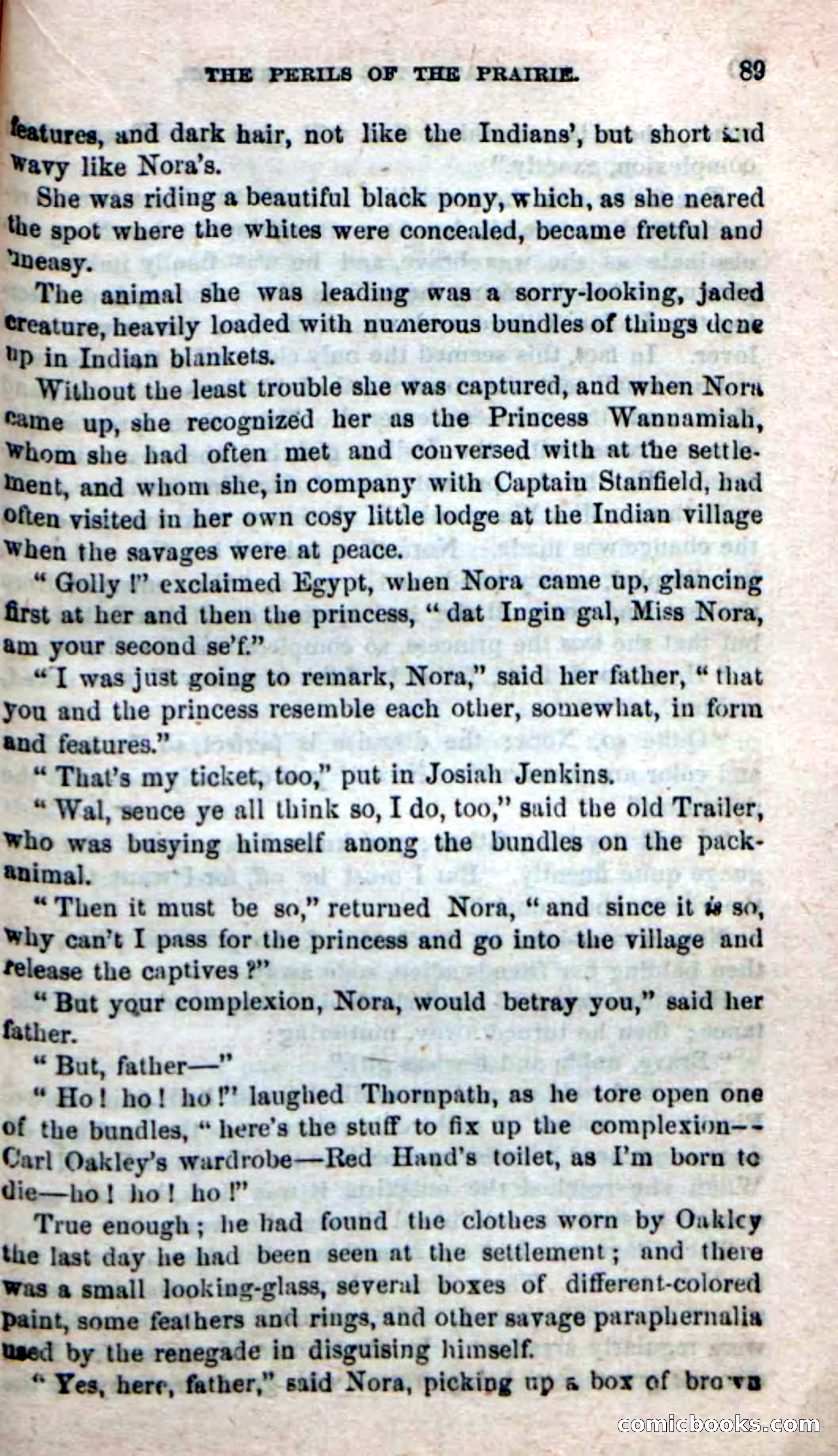 Beadle's New Dime Novels, No. 49 — page 85 of 100