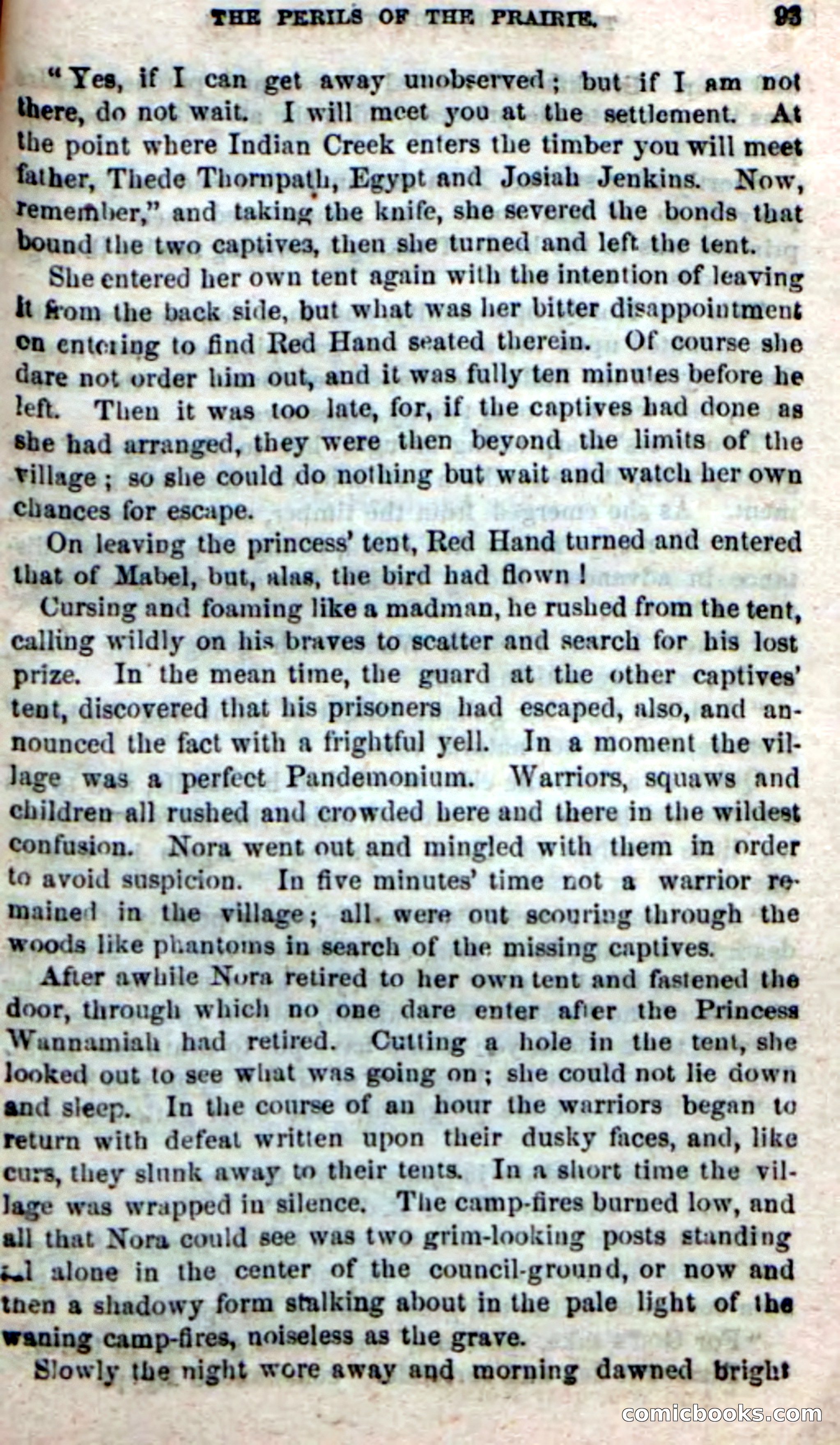 Beadle's New Dime Novels, No. 49 — page 89 of 100