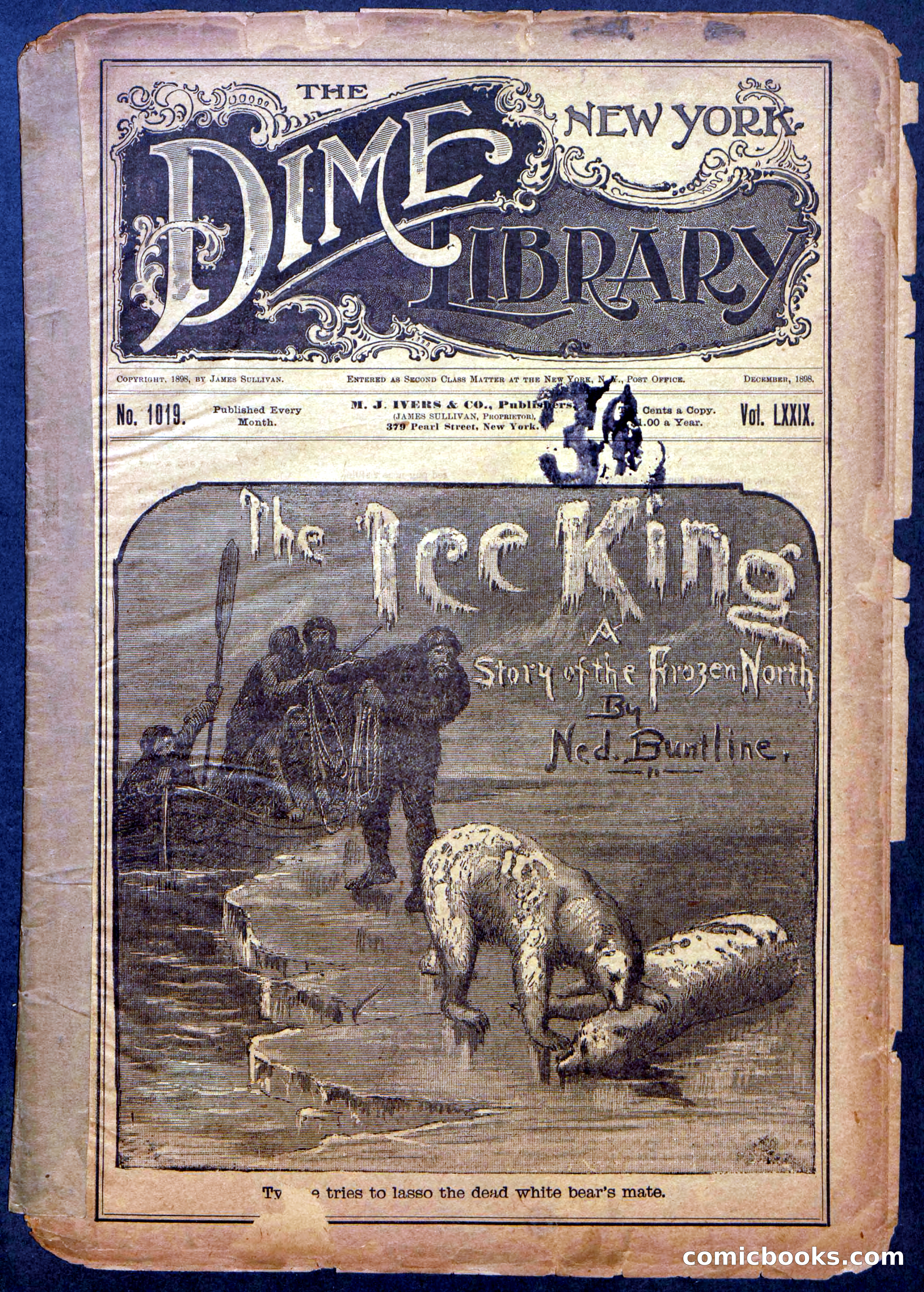 The Beadle's New York Dime Library: The Reckoning — page 1 of 24