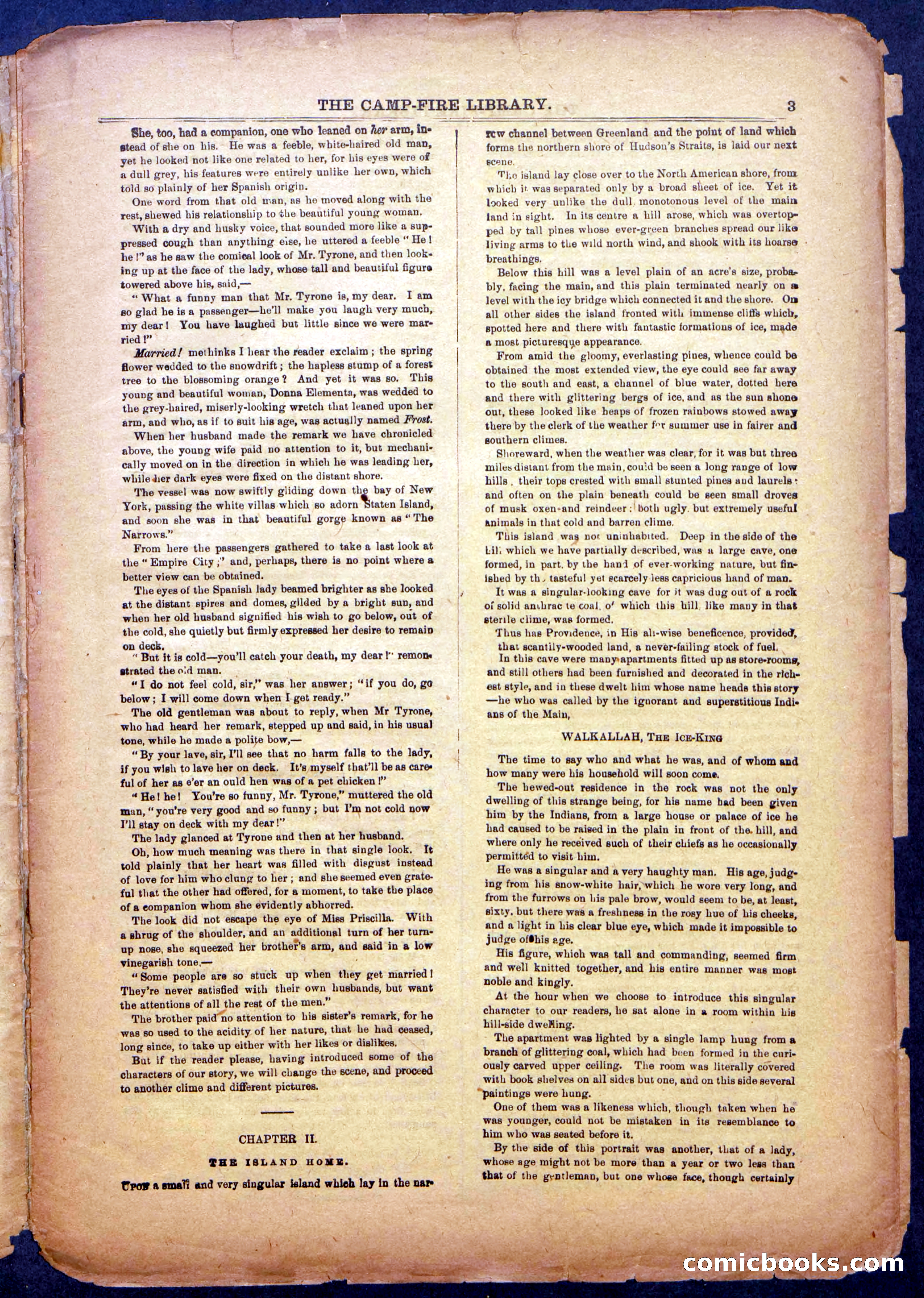 The Beadle's New York Dime Library: The Reckoning — page 3 of 24