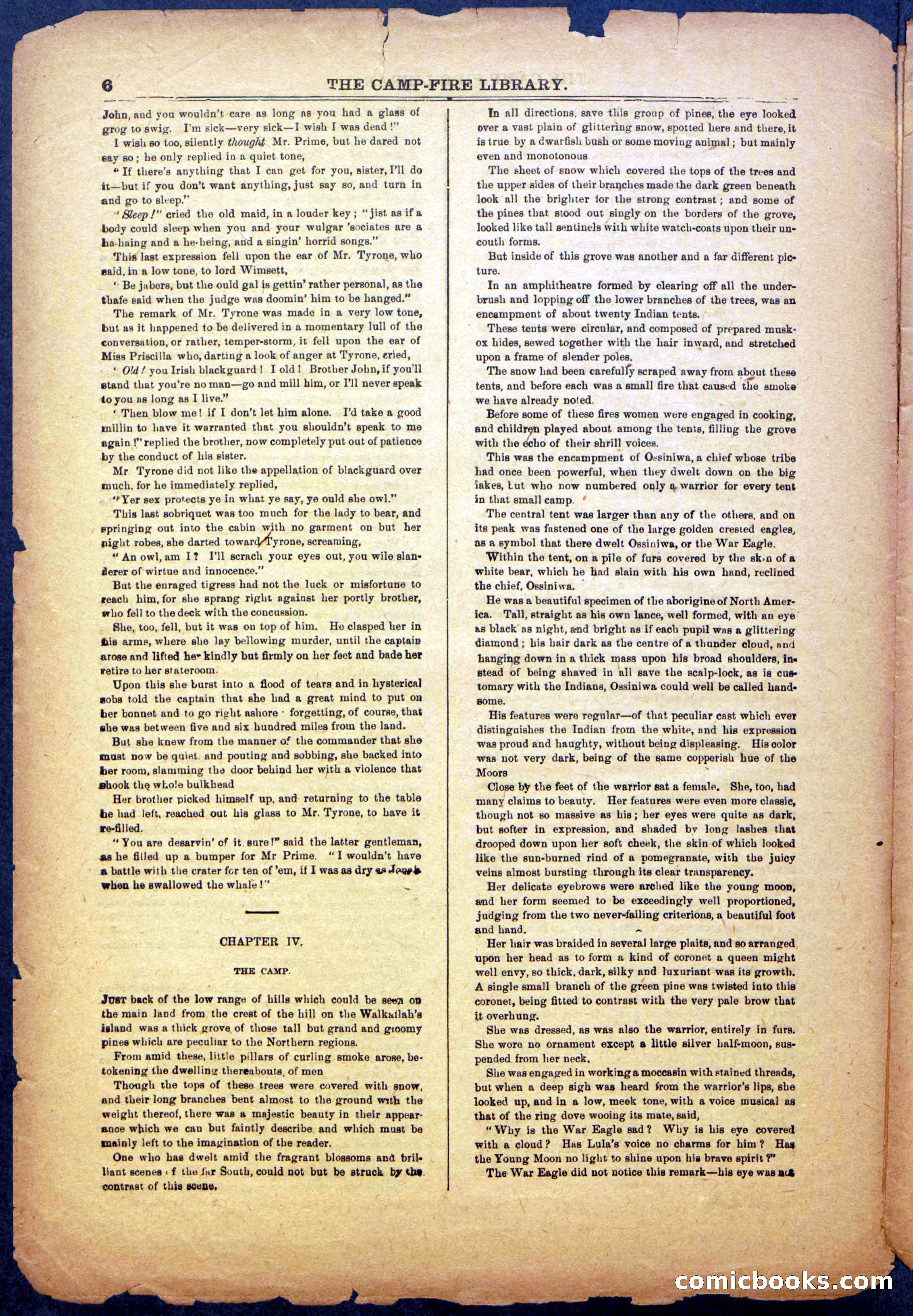 The Beadle's New York Dime Library: The Reckoning — page 6 of 24