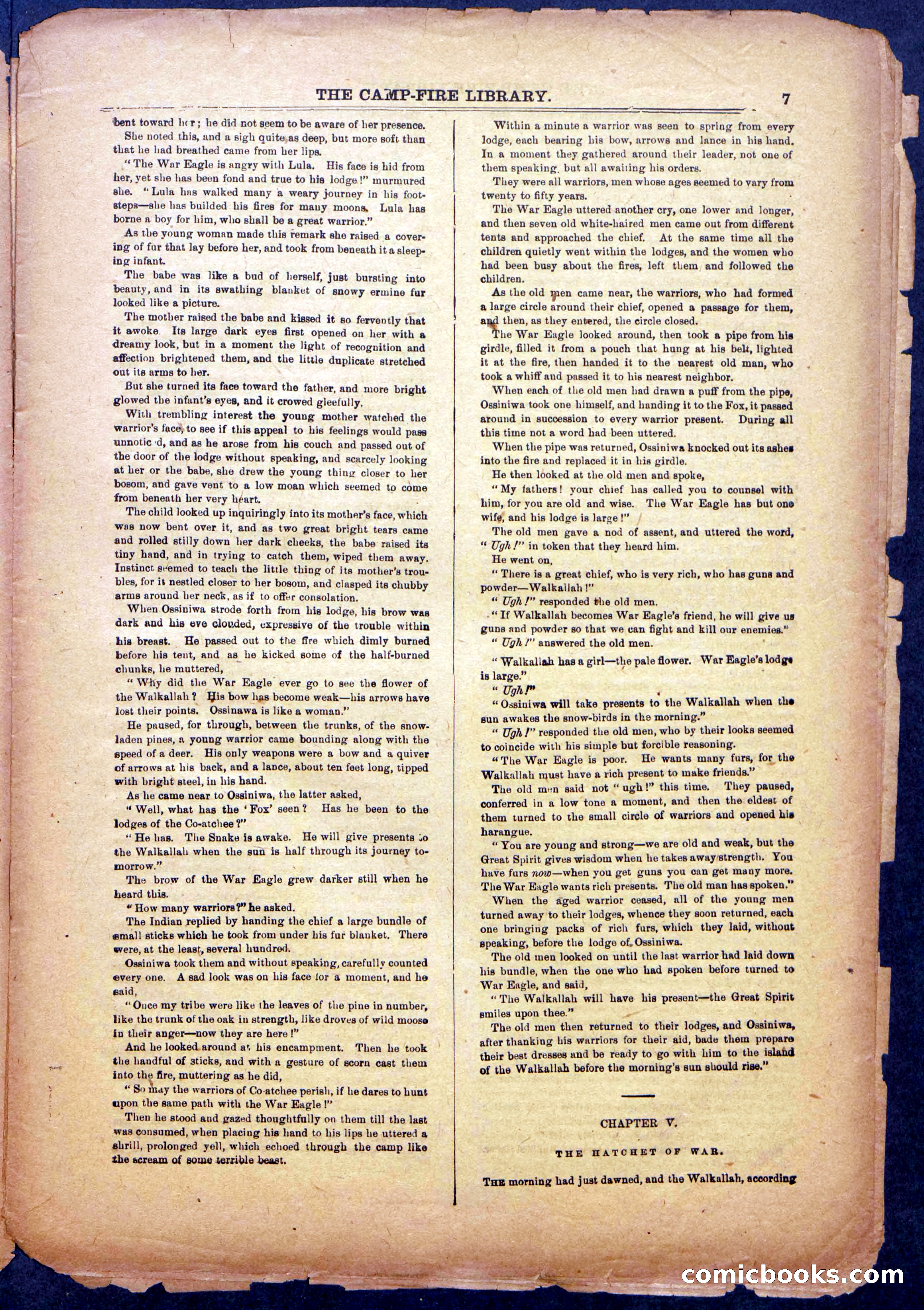 The Beadle's New York Dime Library: The Reckoning — page 7 of 24
