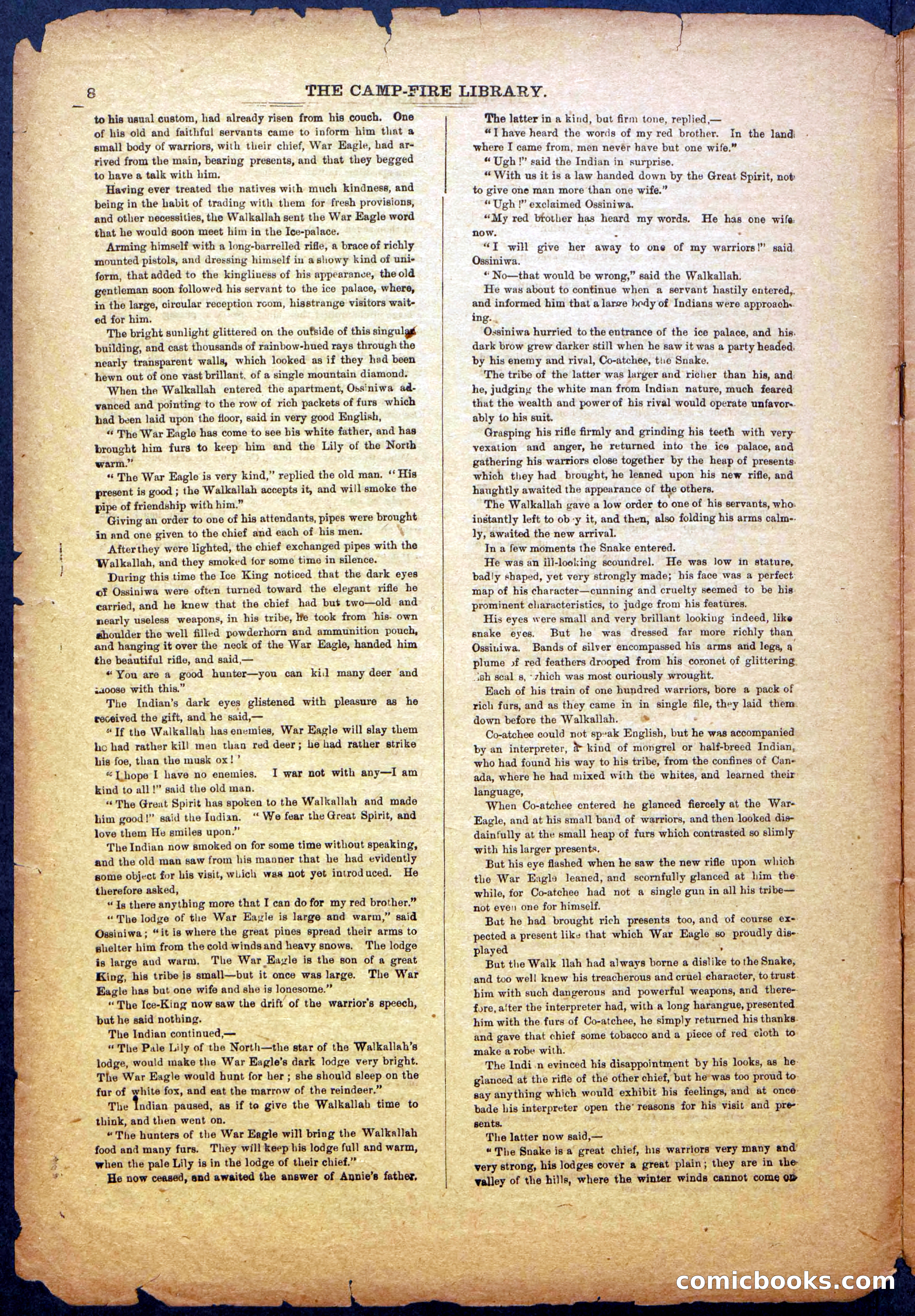 The Beadle's New York Dime Library: The Reckoning — page 8 of 24