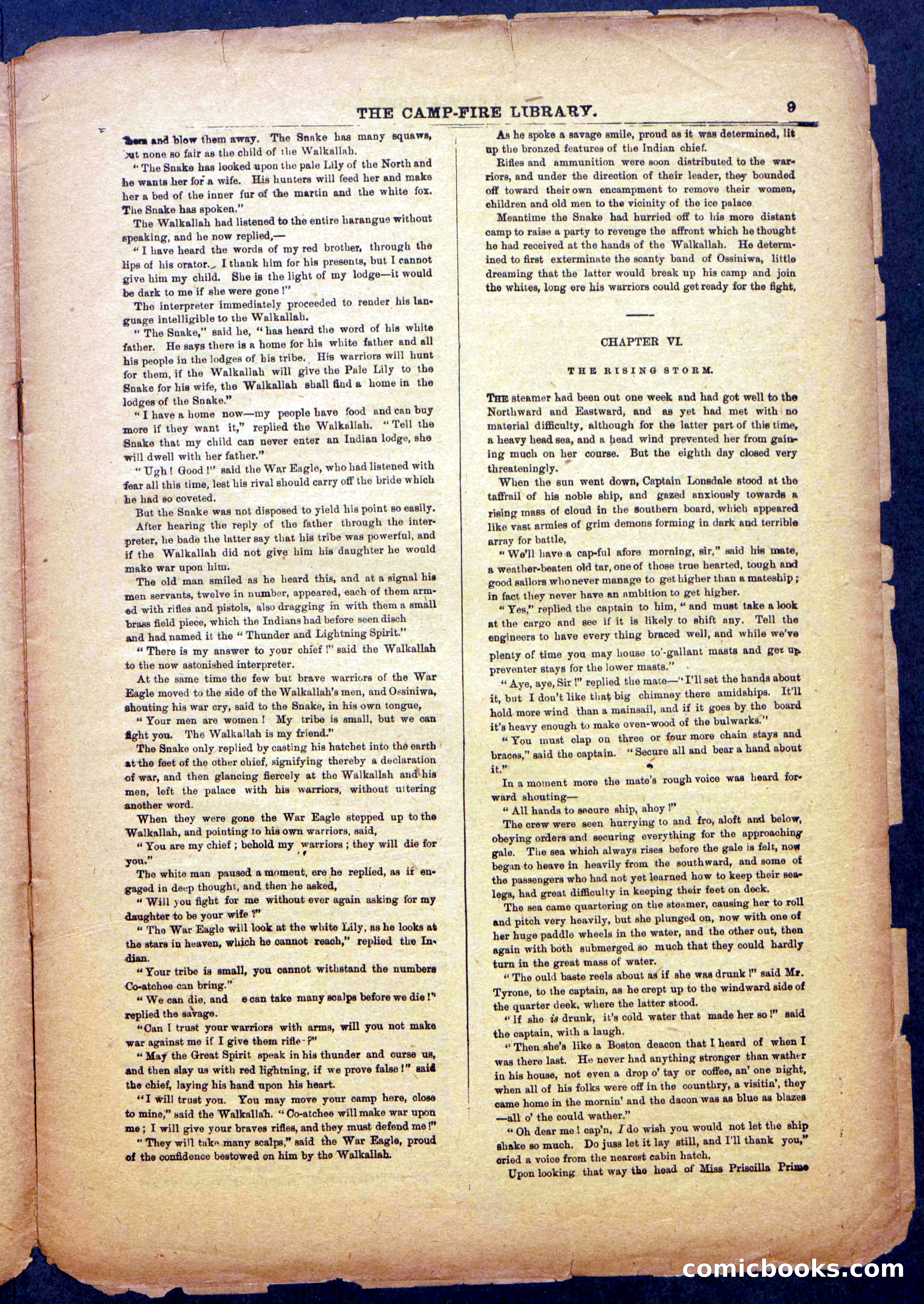 The Beadle's New York Dime Library: The Reckoning — page 9 of 24